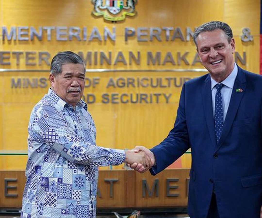 Brasil retoma exportações de carne de frango para a Malásia