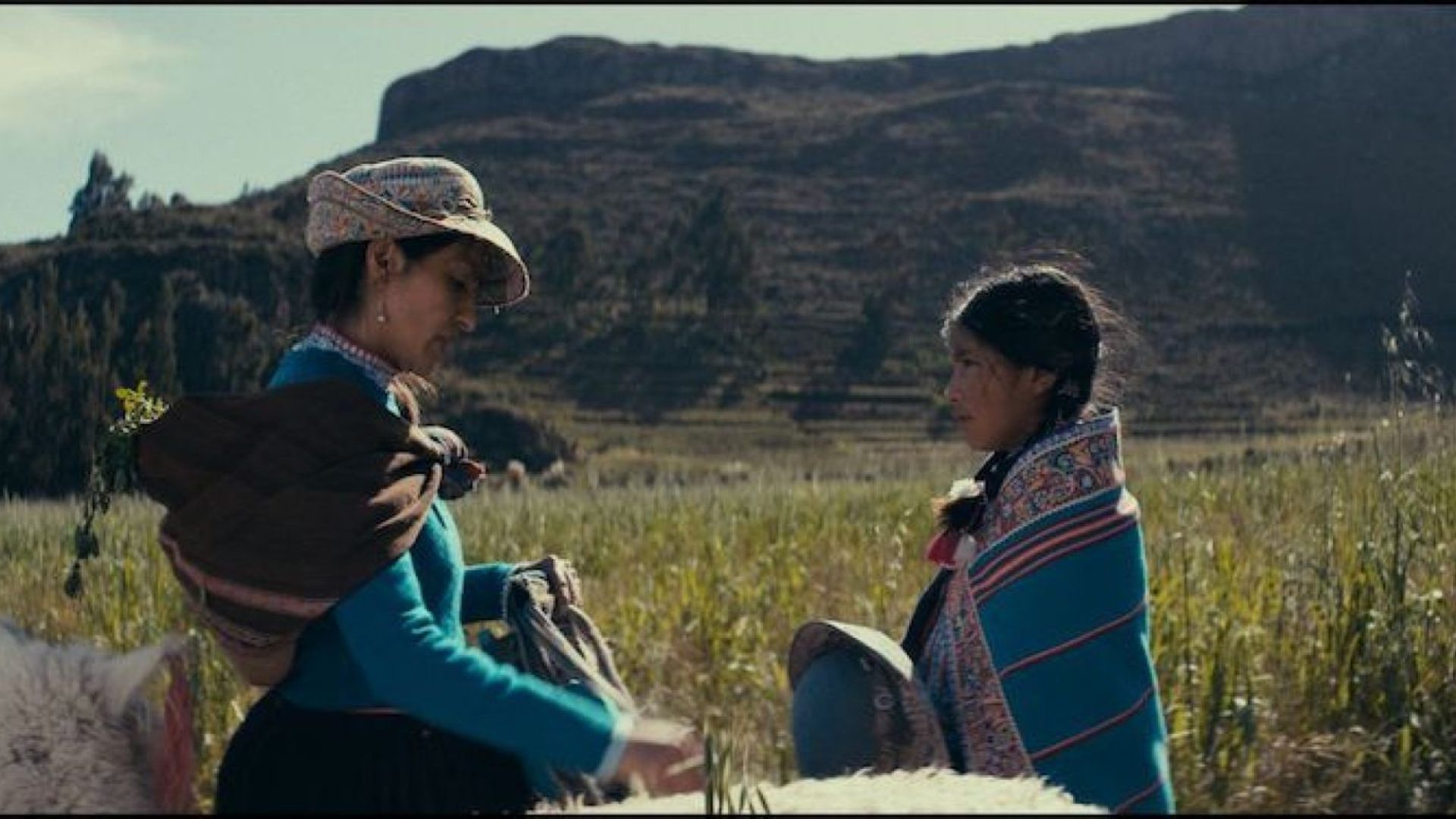 Festival Bonito CineSur promove integração audiovisual sul-americana