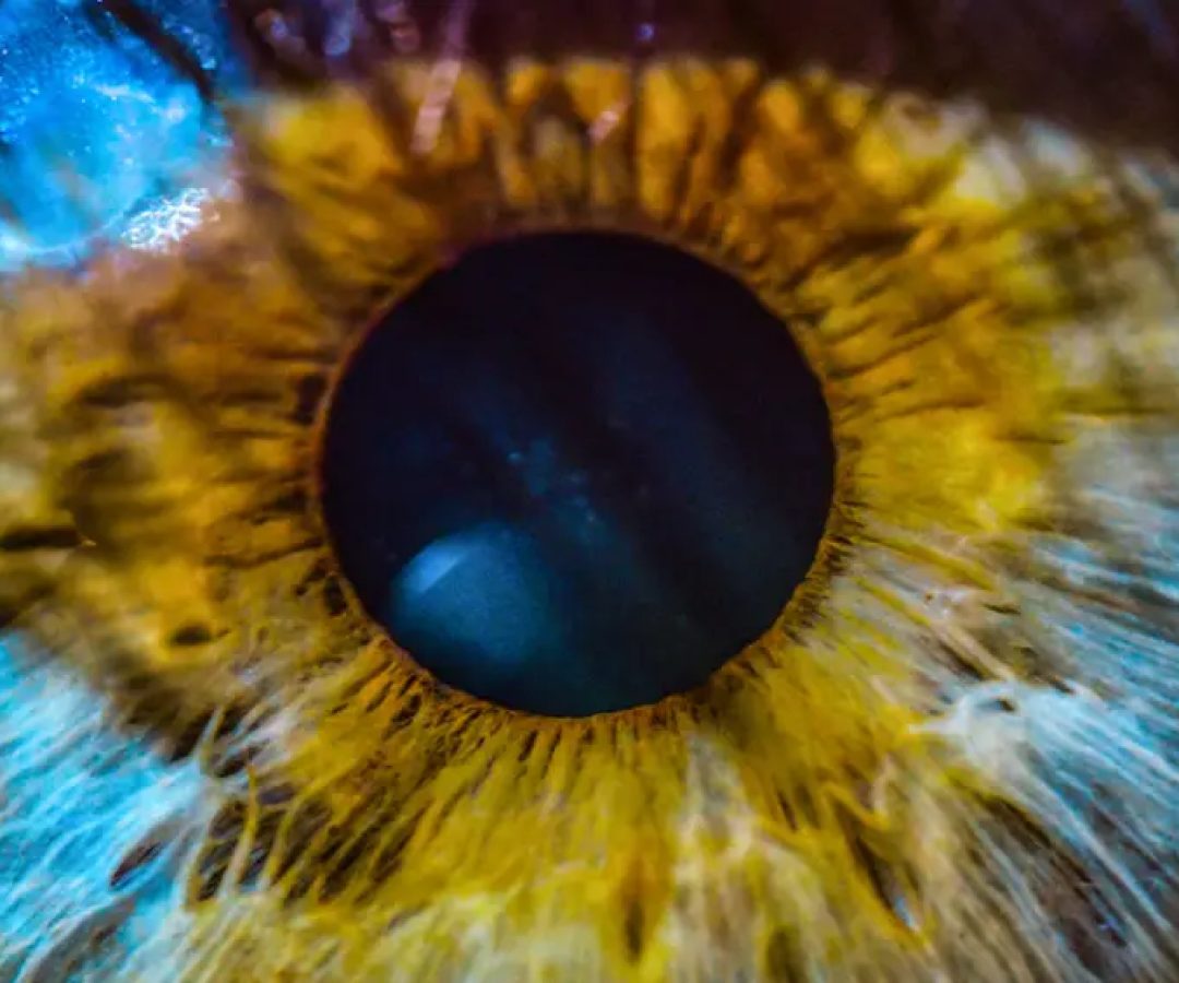 &nbsp;(Norman Zeb/Getty Images)