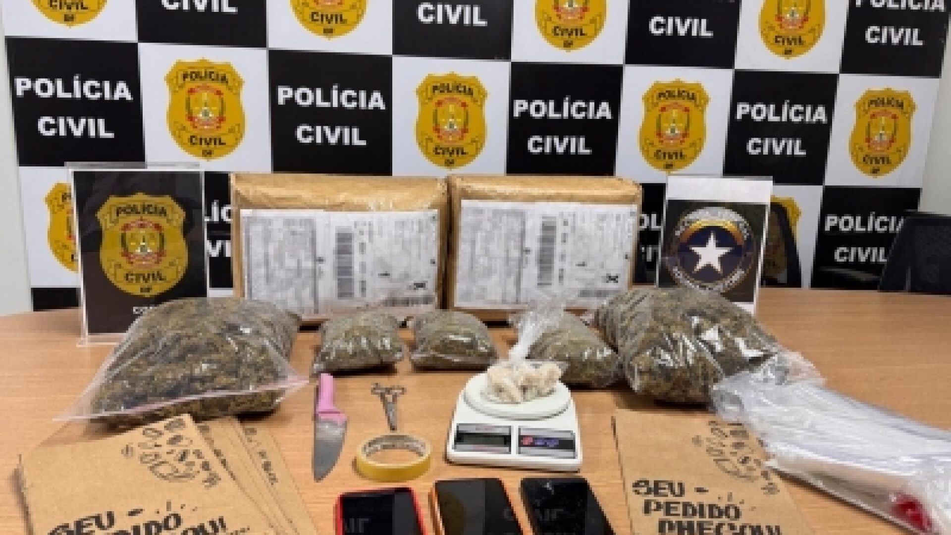 PCDF apreende quatro quilos de skunk em ação conjunta com a Receita Federal