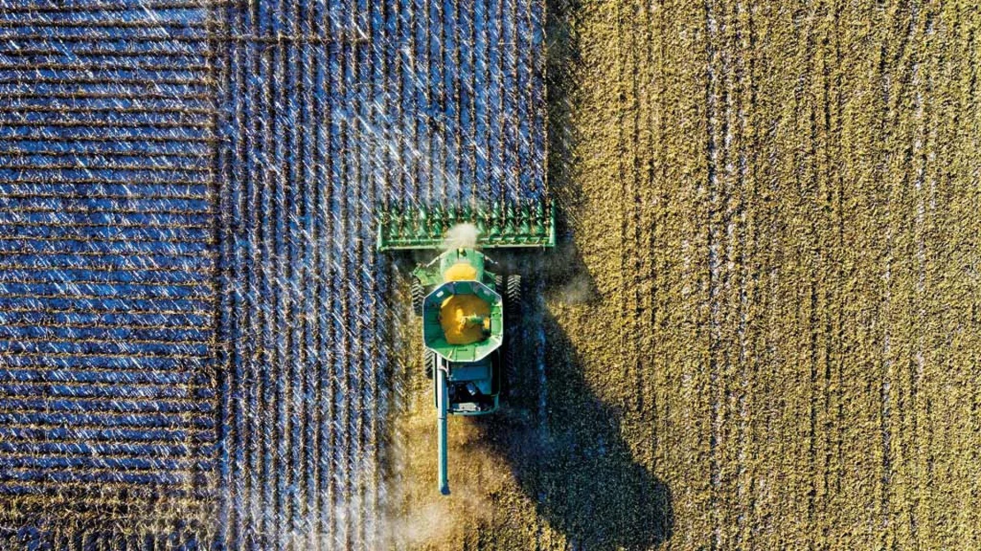 Recuperação judicial no agronegócio "dispara" 21,9% no 1º tri de 2026 Alerta Vermelho: Recuperação Judicial no Agronegócio Cresceu 21,9% em 2026