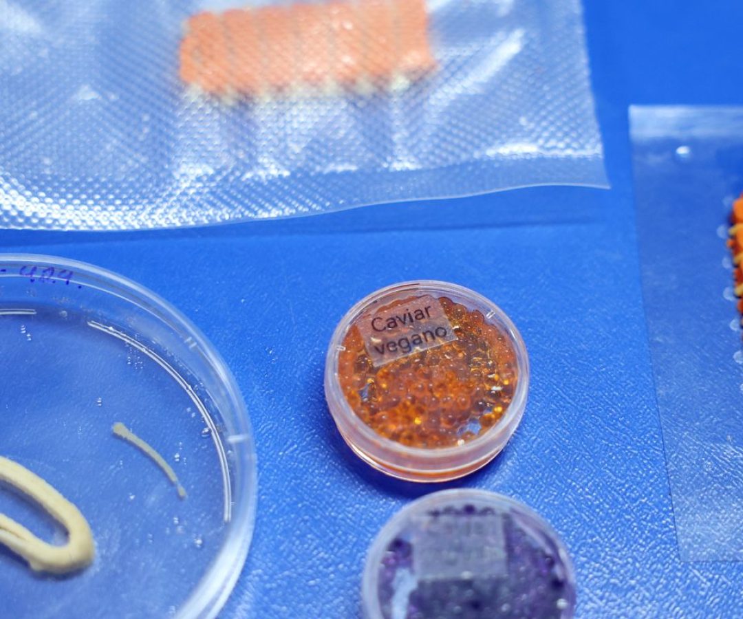 Embrapa produz em laboratório salmão, caviar e anéis de lula veganos