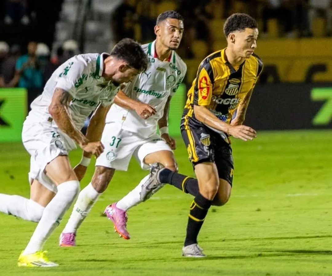Palmeiras leva baile do Novorizontino, dá vexame e tem o pior resultado da era Abel