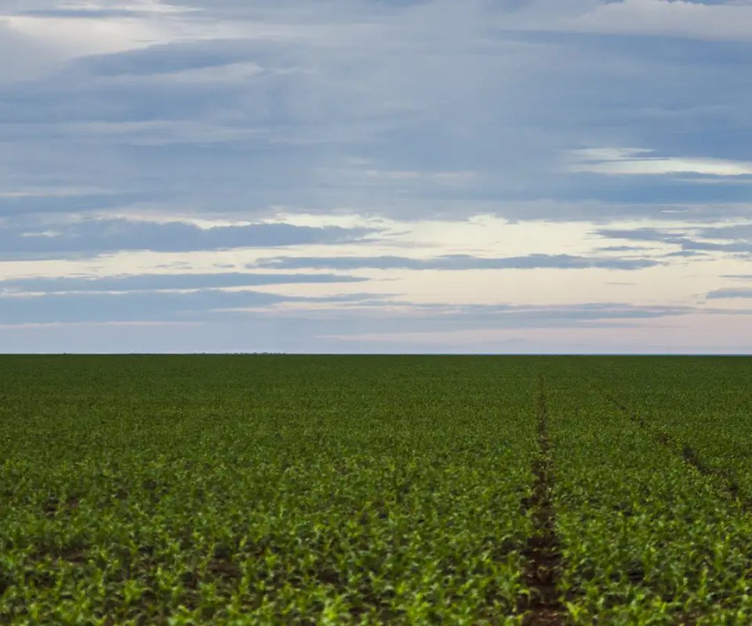 Fazenda estuda Fundo Garantidor para dívidas rurais