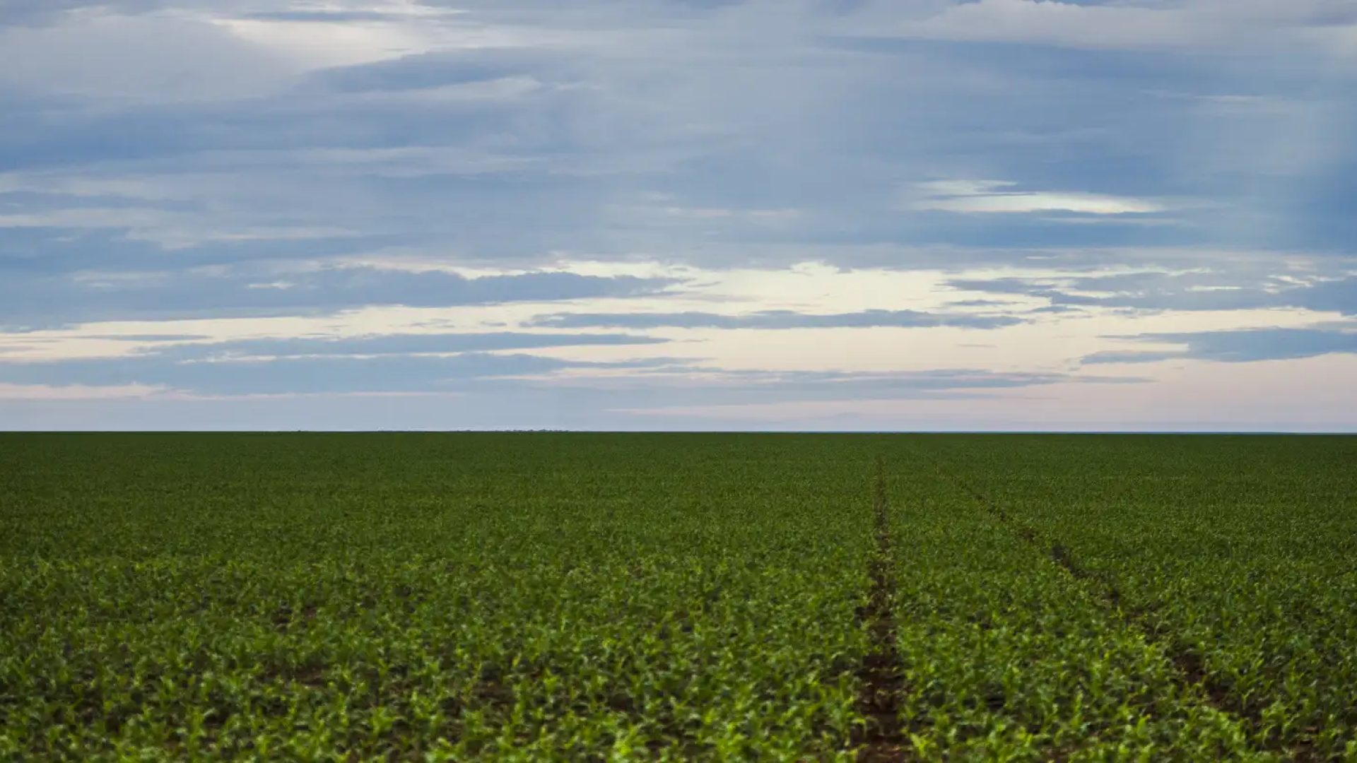 Fazenda estuda Fundo Garantidor para dívidas rurais