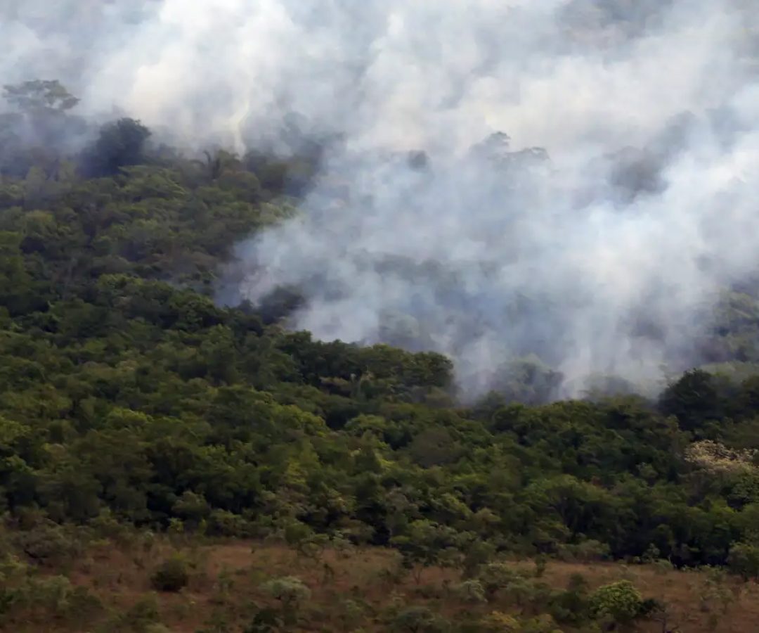 Copernicus: emissão global de gases por incêndios é a menor em 24 anos