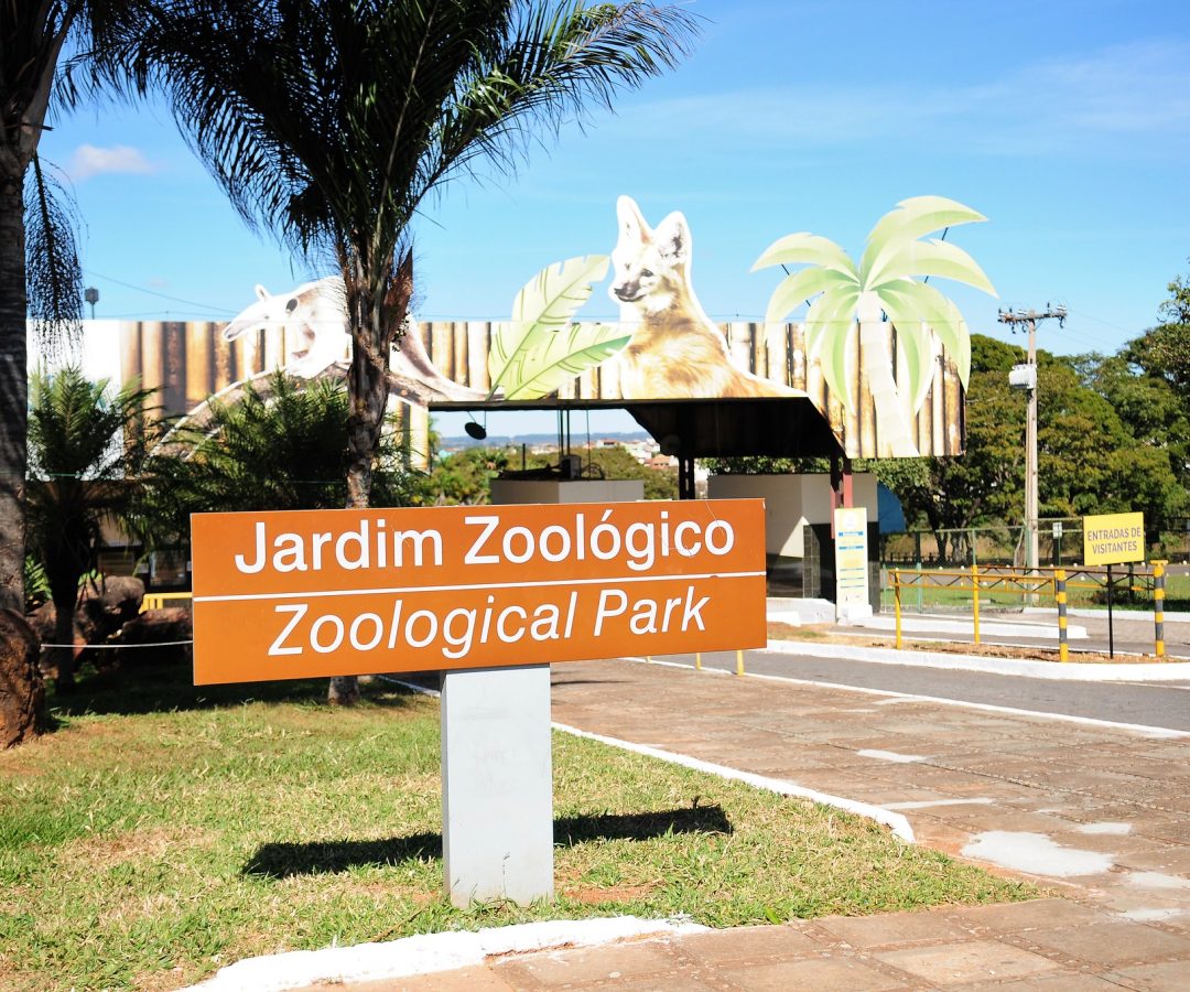 Zoo de Brasília entra para a rede global de conservação