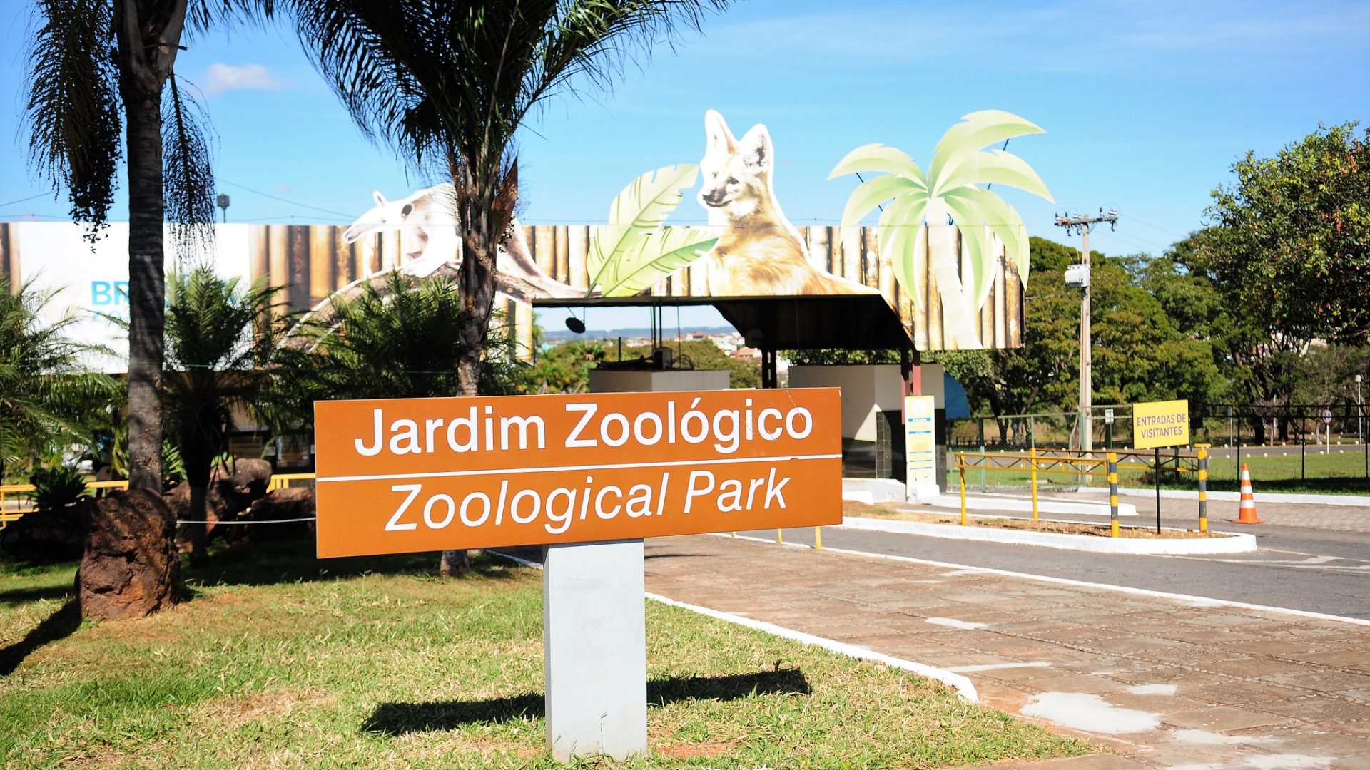Zoo de Brasília entra para a rede global de conservação