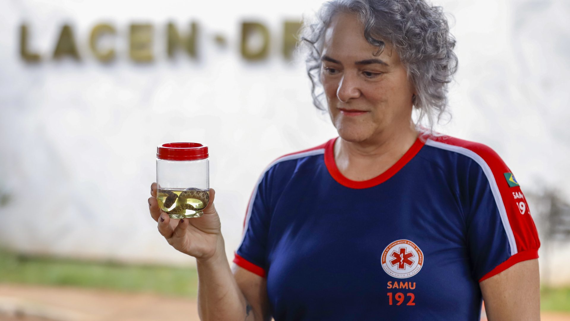 DF registra 5.549 acidentes com animais peçonhentos em 2025, alta de 24%