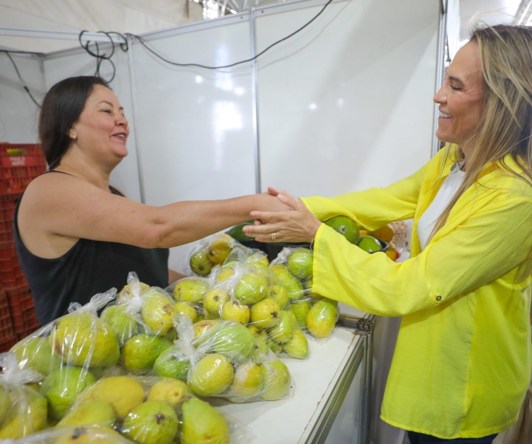 Governadora Celina Leão visita 11ª Feira da Goiaba em Brazlândia