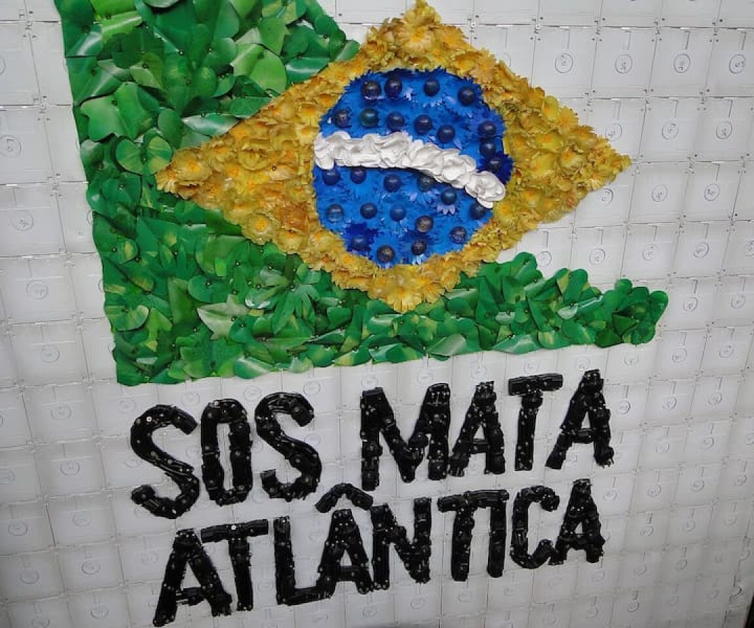 Fundação SOS Mata Atlântica abre inscrições para curso gratuito e 100% online