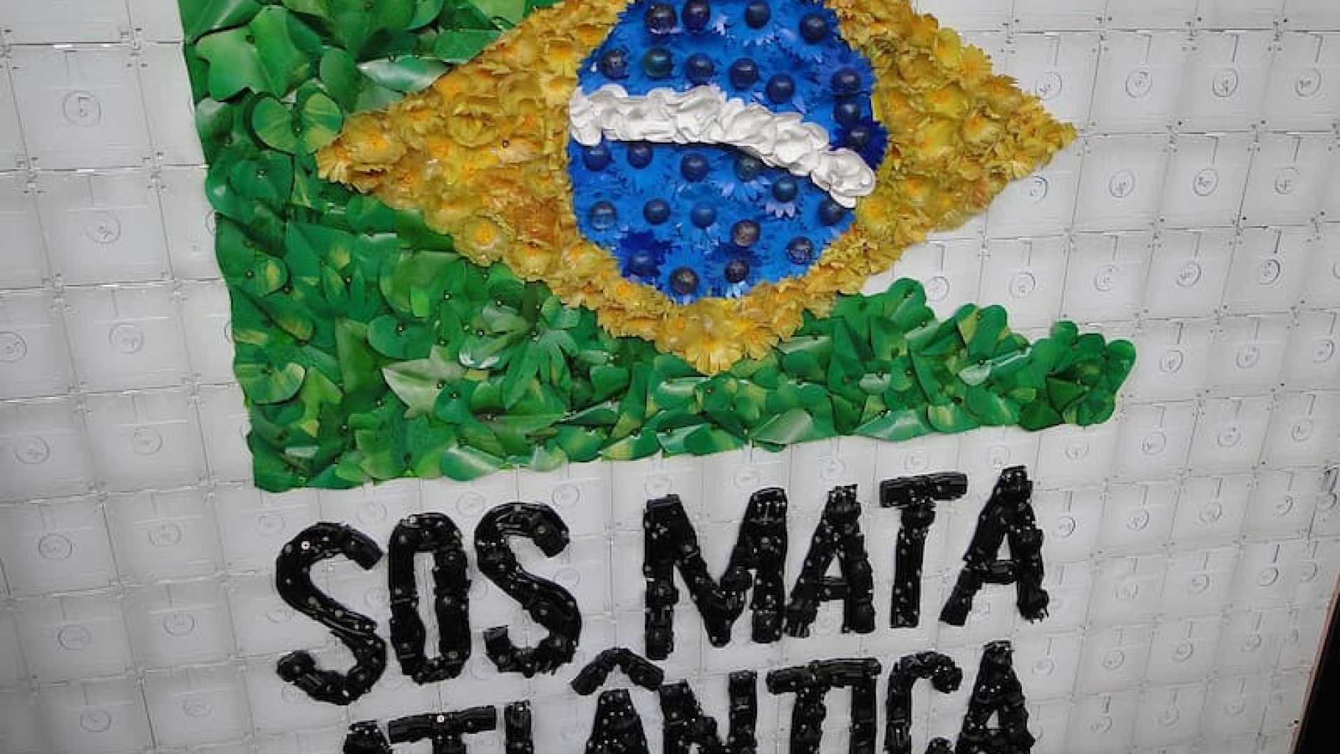 Fundação SOS Mata Atlântica abre inscrições para curso gratuito e 100% online