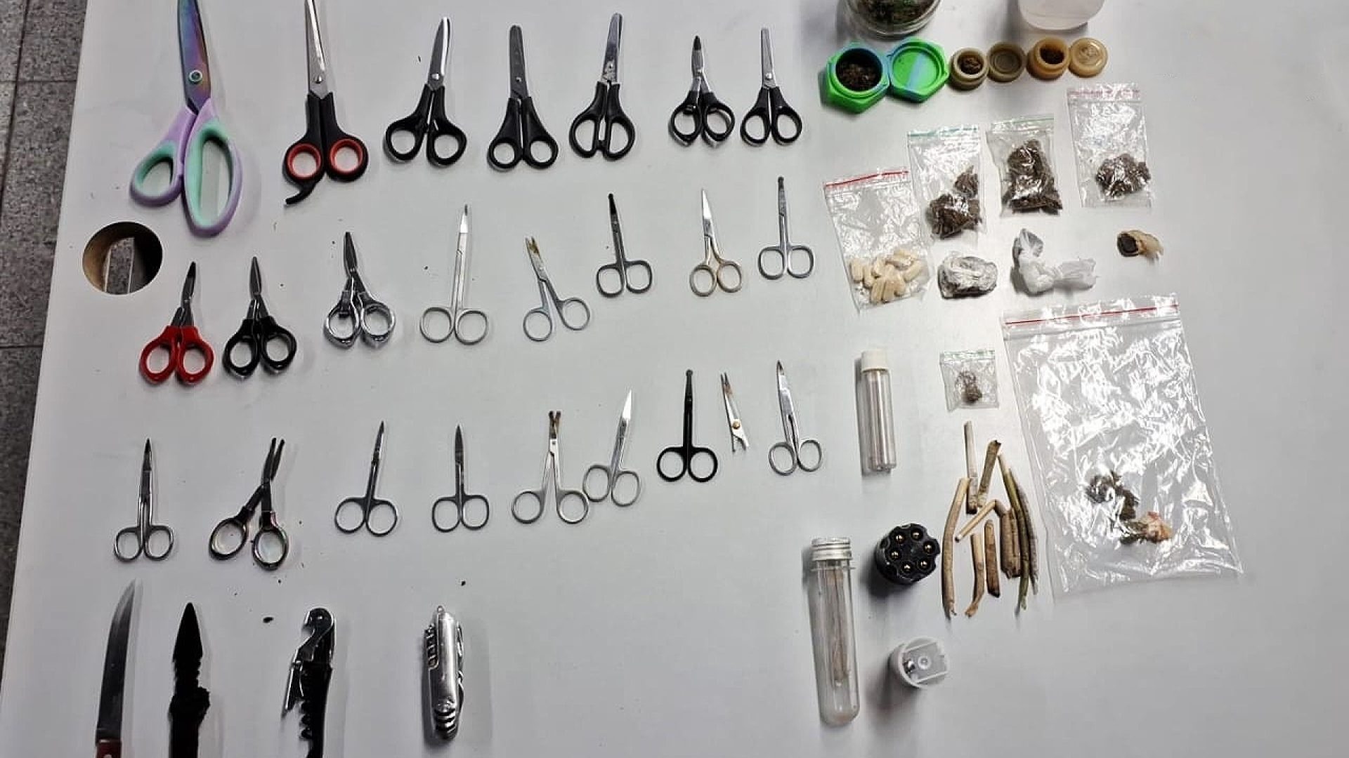 Revistas pessoais reforçam segurança e evitam entrada com objetos proibidos em blocos carnavalescos