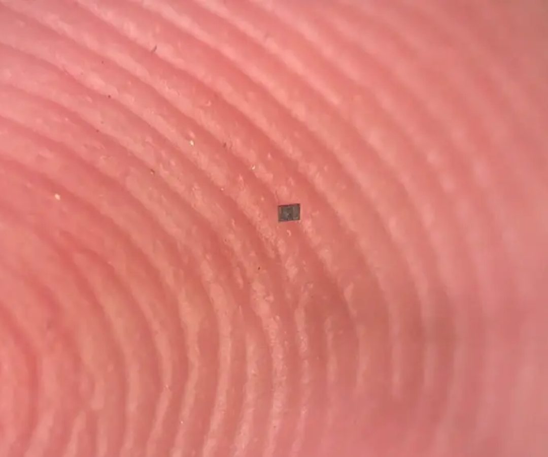 &nbsp;(Marc Miskin/Universidade da Pensilvânia./Divulgação)