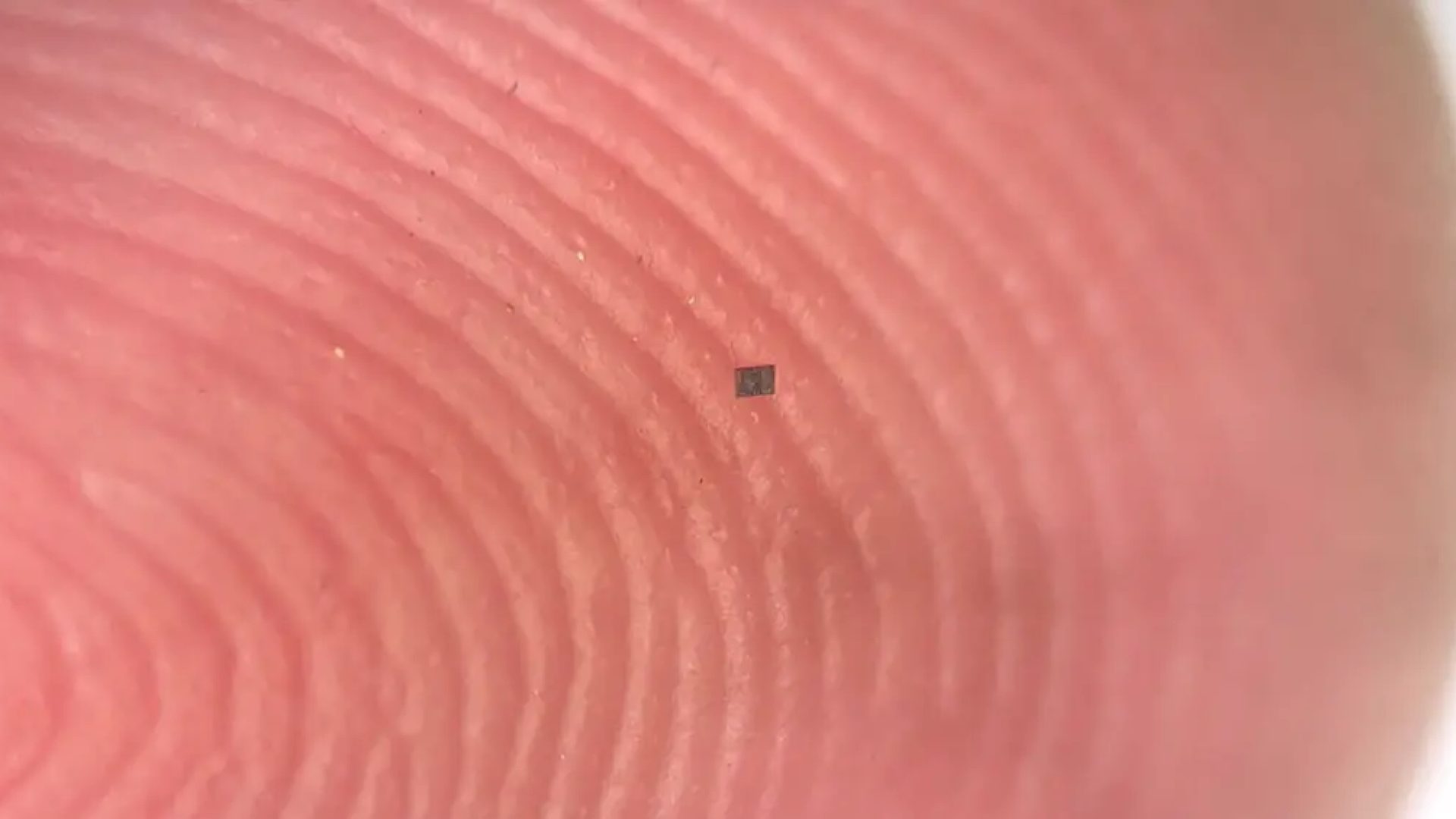 &nbsp;(Marc Miskin/Universidade da Pensilvânia./Divulgação)