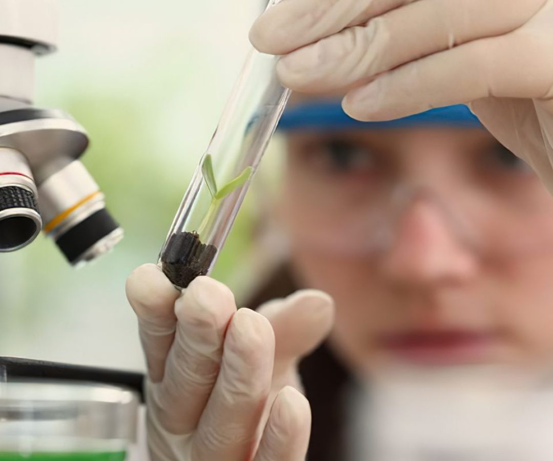 Observatório lança edital do programa Meninas Cientistas do ON