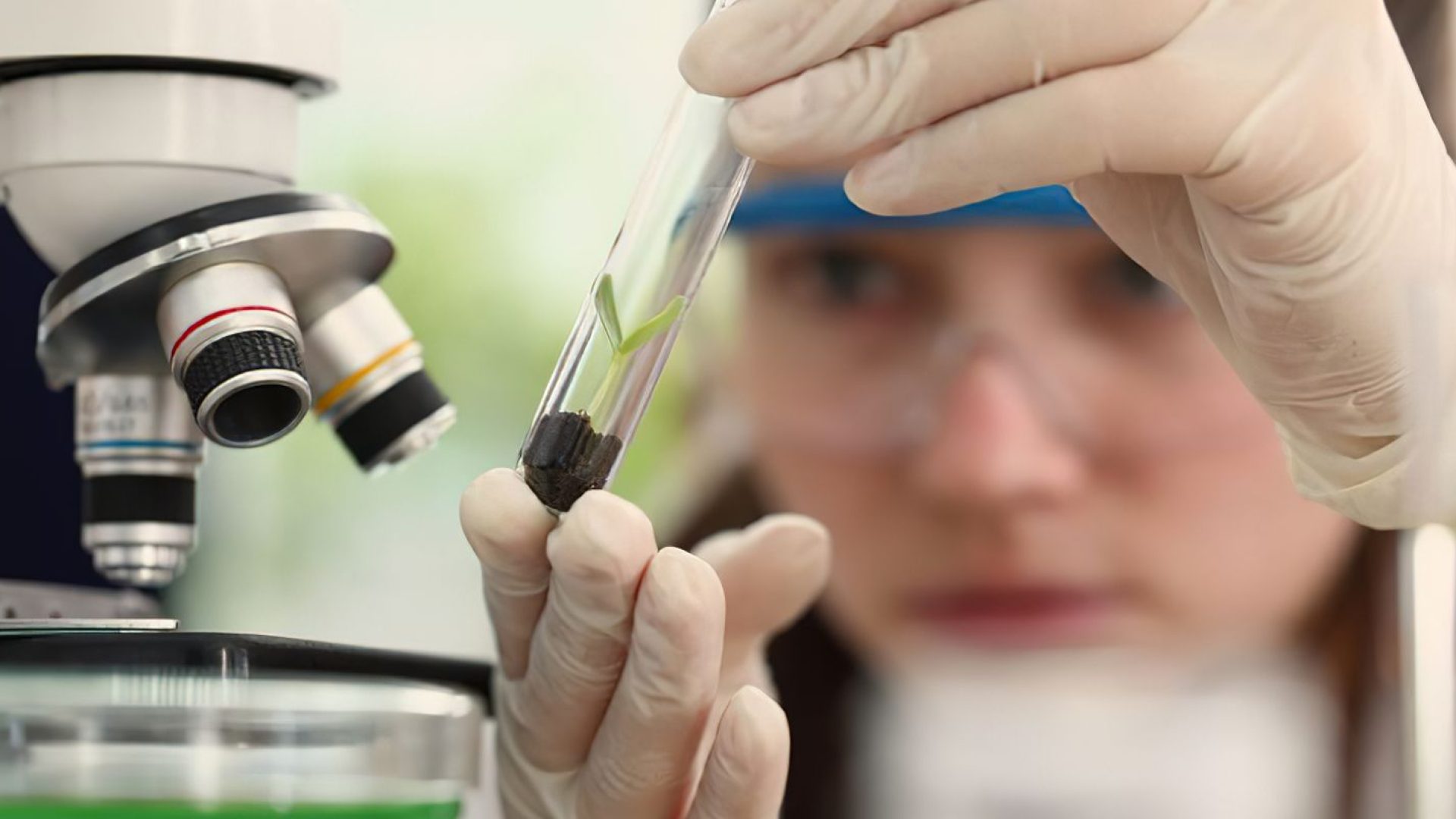 Observatório lança edital do programa Meninas Cientistas do ON