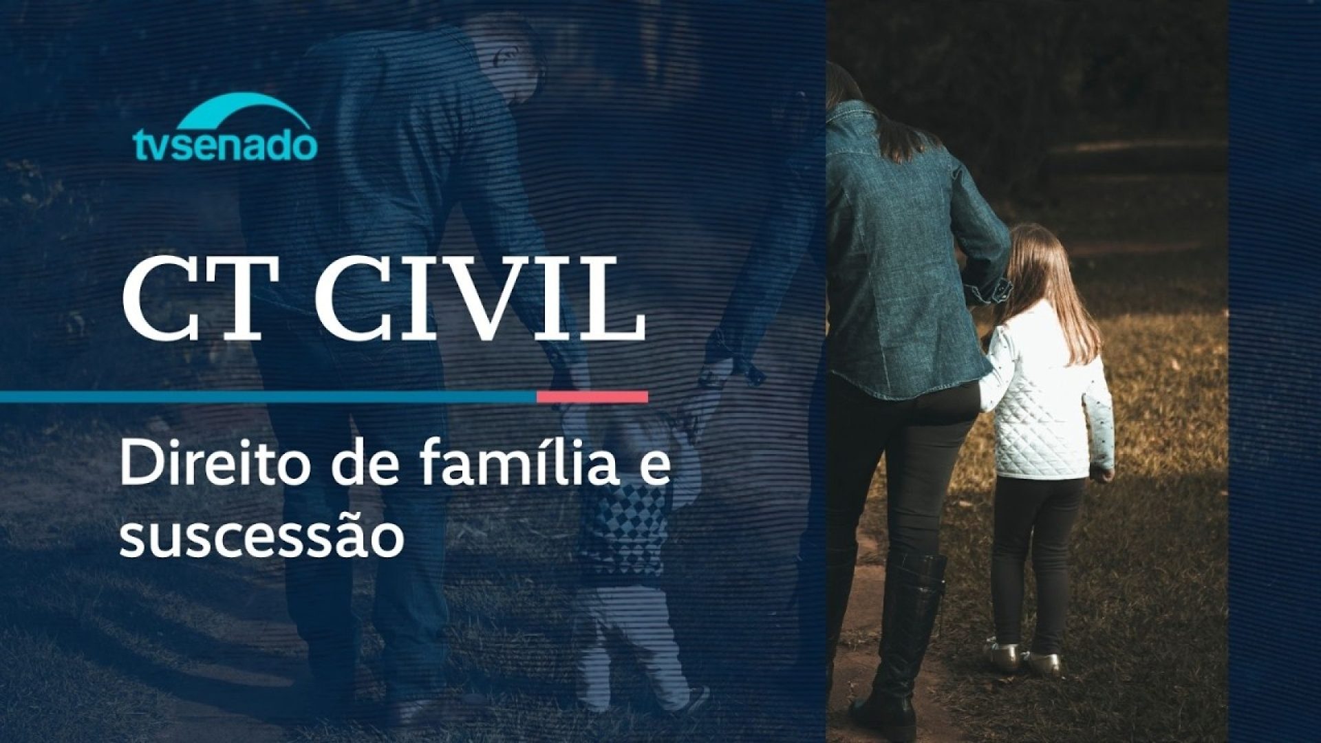 Vídeo: Ao vivo: Comissão debate Direito de Família e das Sucessões - 26/3/26