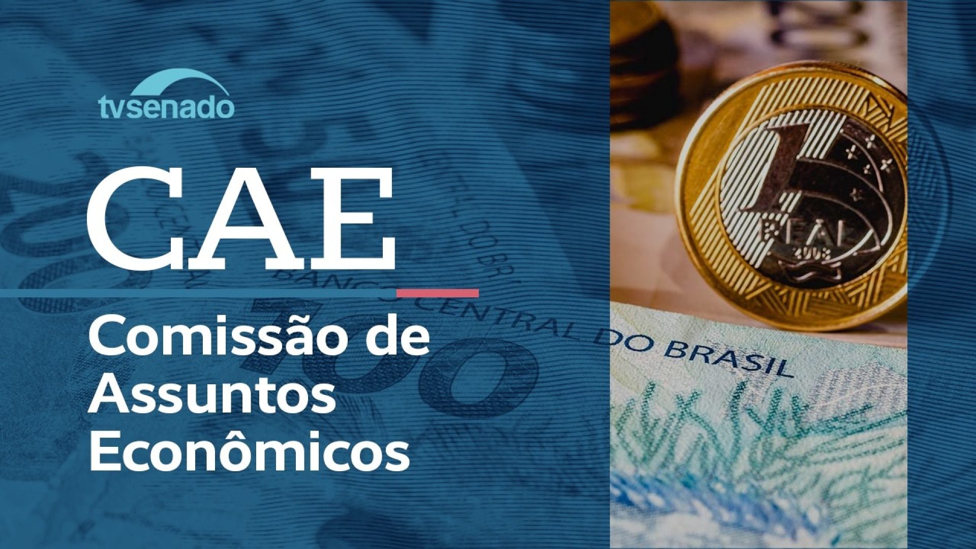 CAE analisa a Política Nacional de Desplastificação – 7/4/26 — Senado Notícias