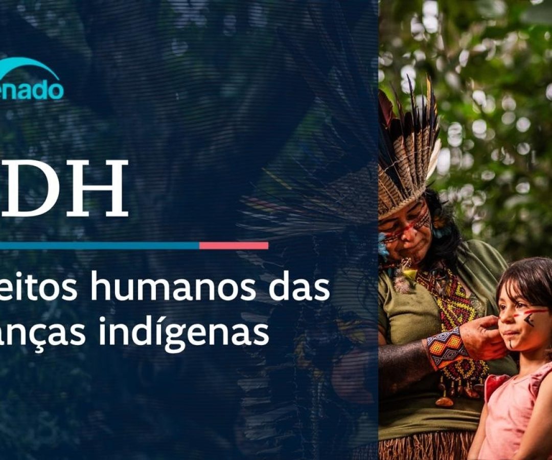 Vídeo: Ao vivo: CDH debate direitos das crianças indígenas - 16/4/26