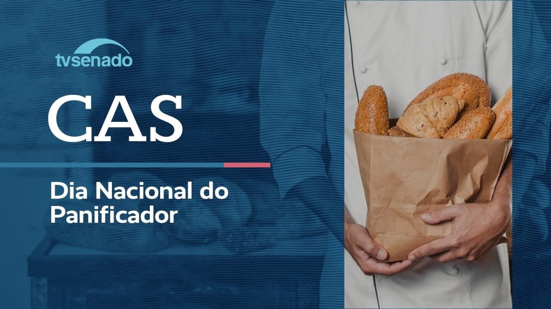 CAS debate criação do Dia Nacional do Panificador – 16/6/26 — Senado Notícias