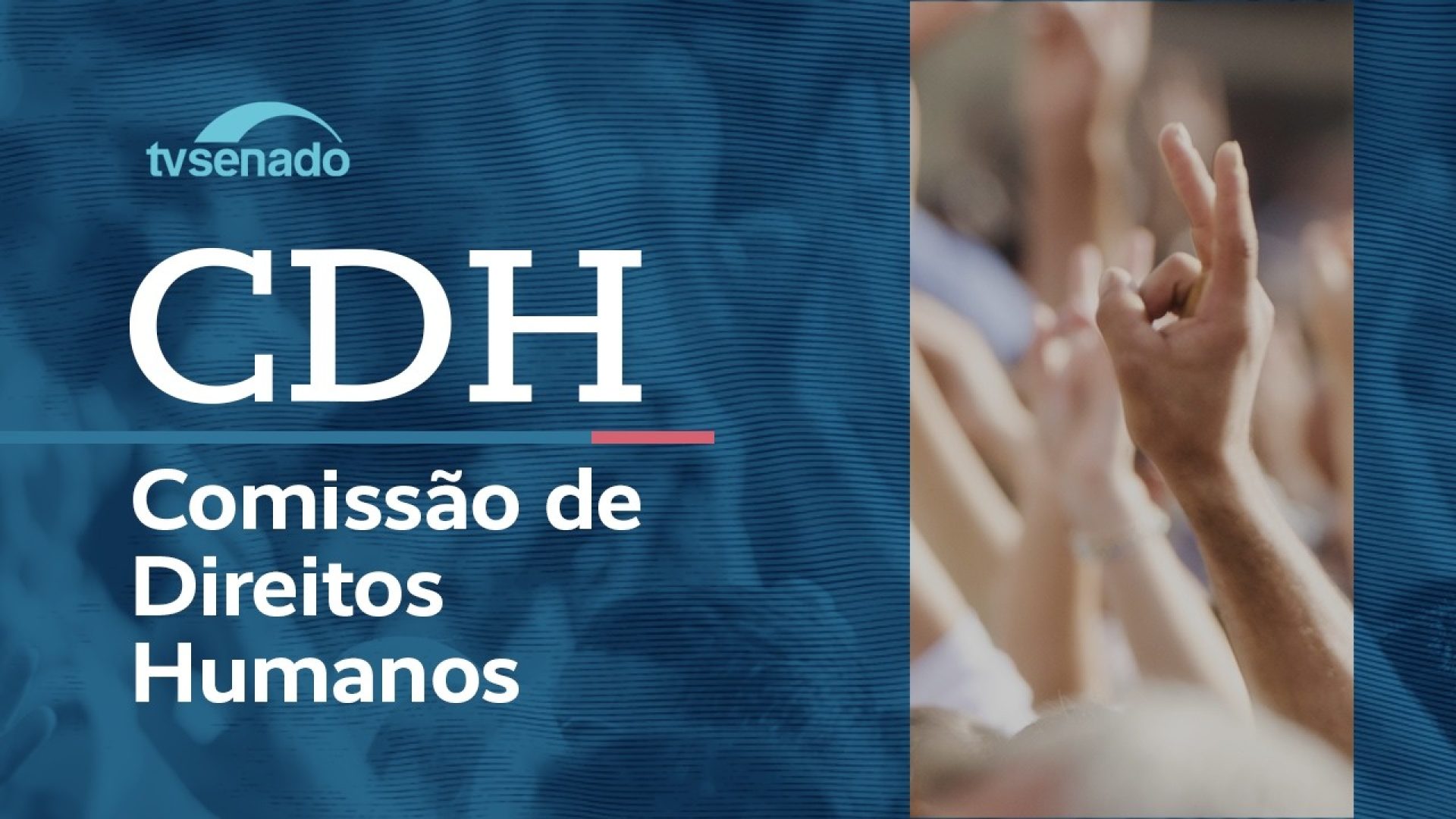 CDH debate política de combate à violência contra as mulheres – 18/6/26 — Senado Notícias