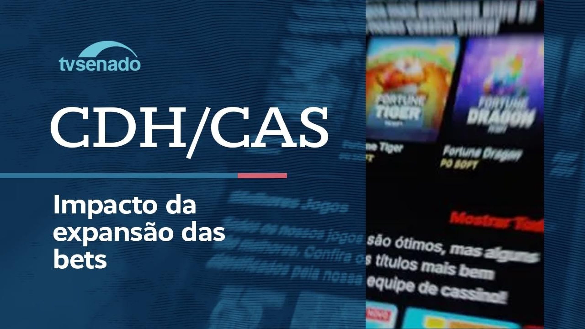 CDH e CAS debatem impactos das apostas esportivas no Brasil – 7/7/26 — Senado Notícias