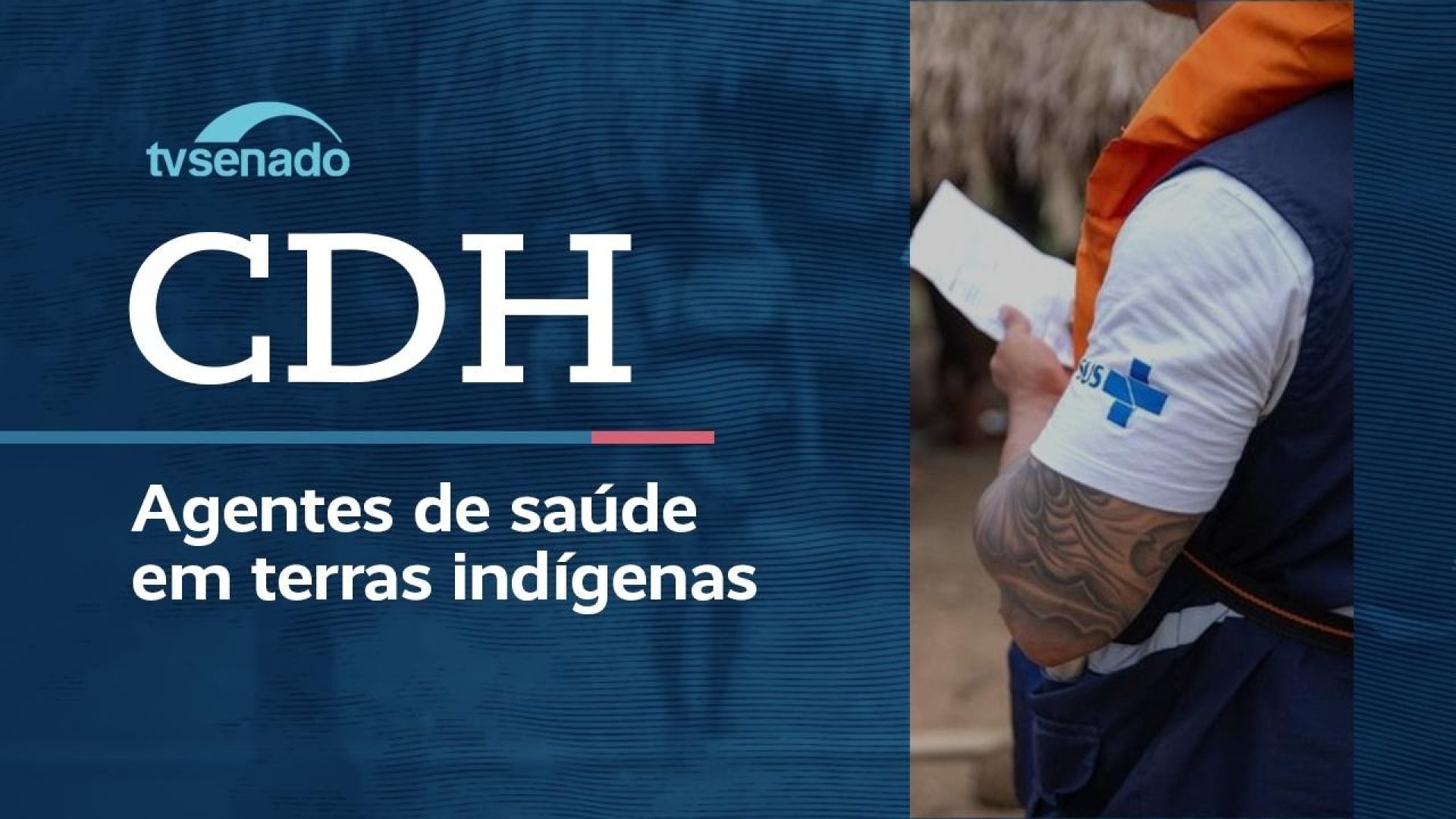 Vídeo: CDH debate trabalho dos agentes de saúde indígena - 6/8/26