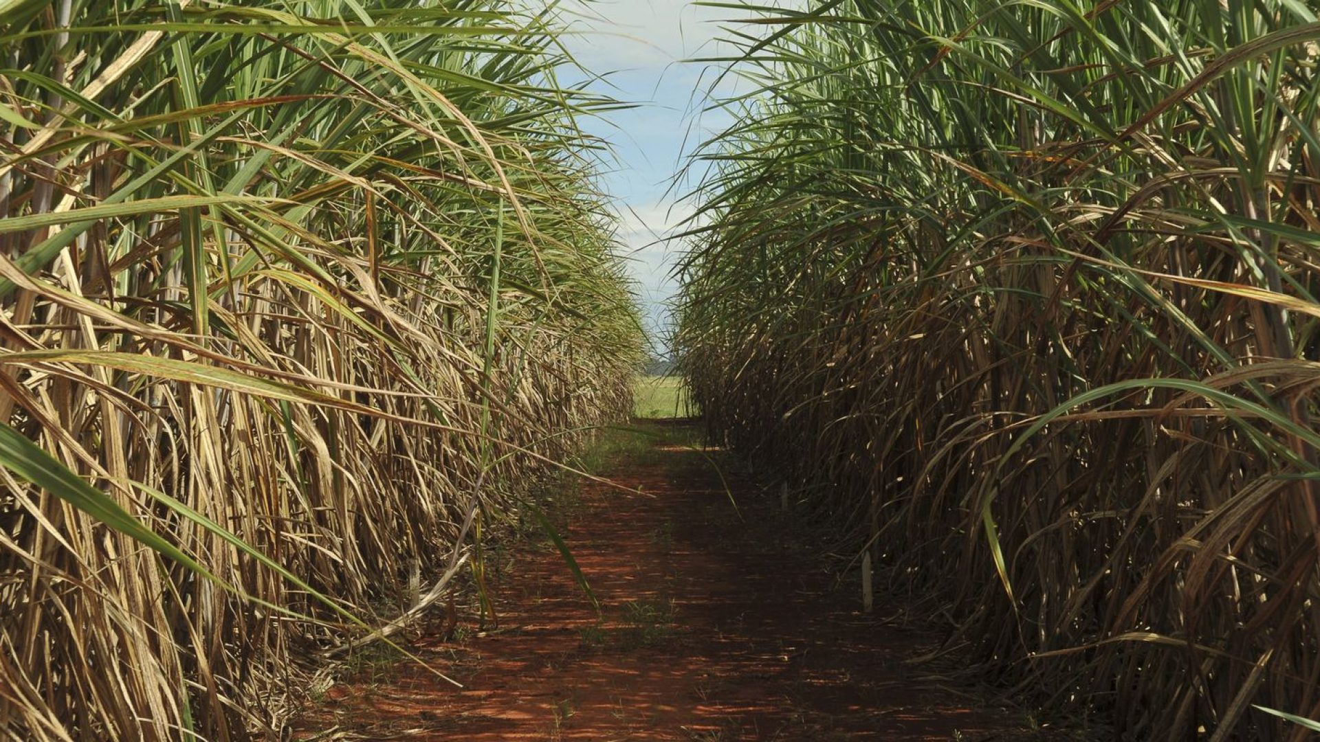 Conselho eleva limite de remuneração do Eco Invest Brasil