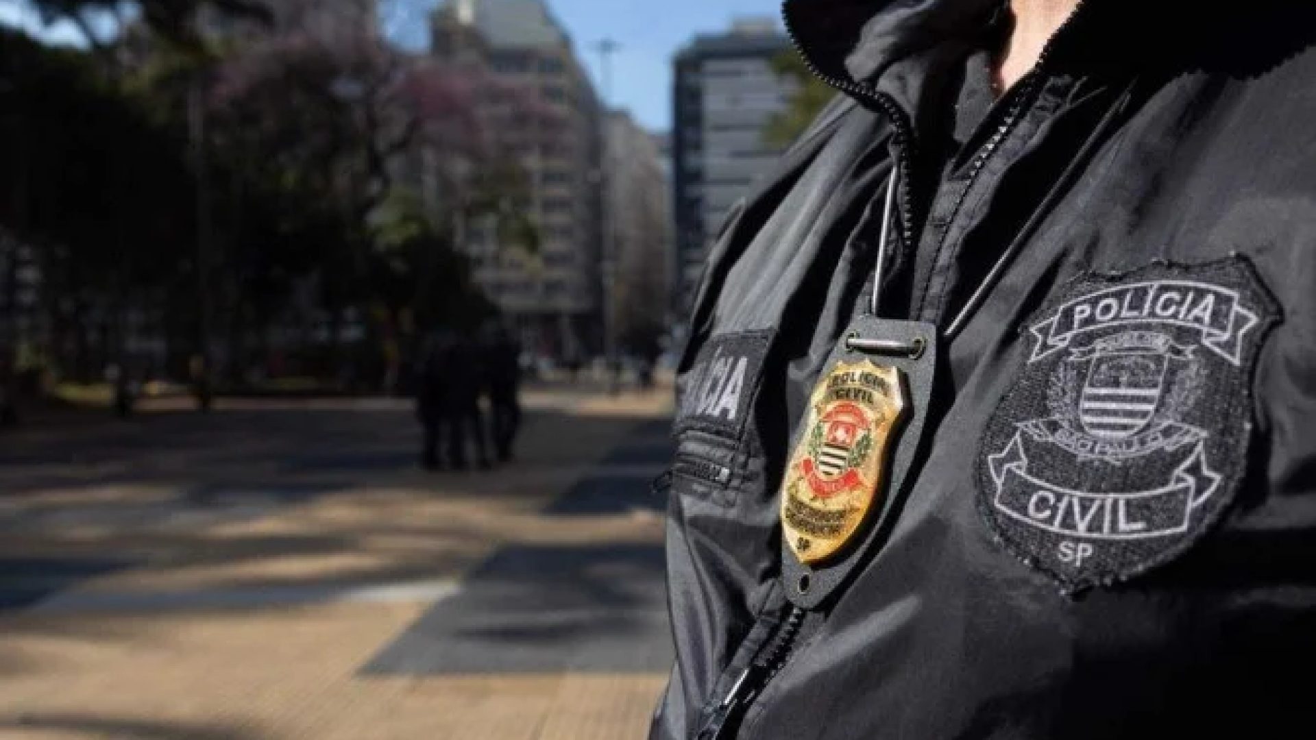 Polícia Civil de São Paulo -  (crédito: Governo de São Paulo/Divulgação)