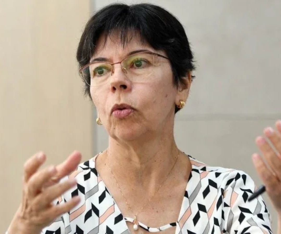 Para a pesquisadora, a criação do Instituto Nacional do Cerrado como uma das ações do Brasil na COP30 seria um reconhecimento importante -  (crédito:  Ed Alves/CB/DA.Press)