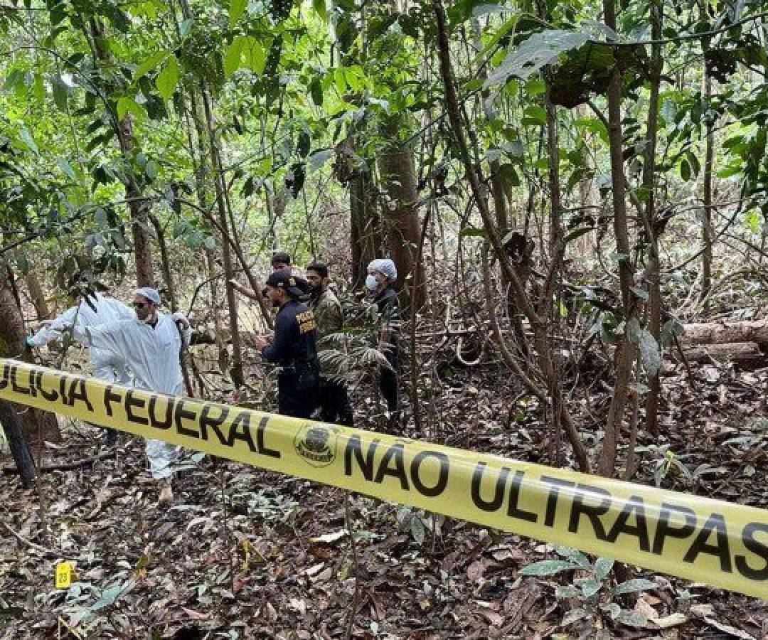 A principal mudança observada pelo estudo é a interconexão crescente entre os grupos criminosos e os crimes ambientais, em especial nas Terras Indígenas -  (crédito: Divulgação / Polícia Federal)