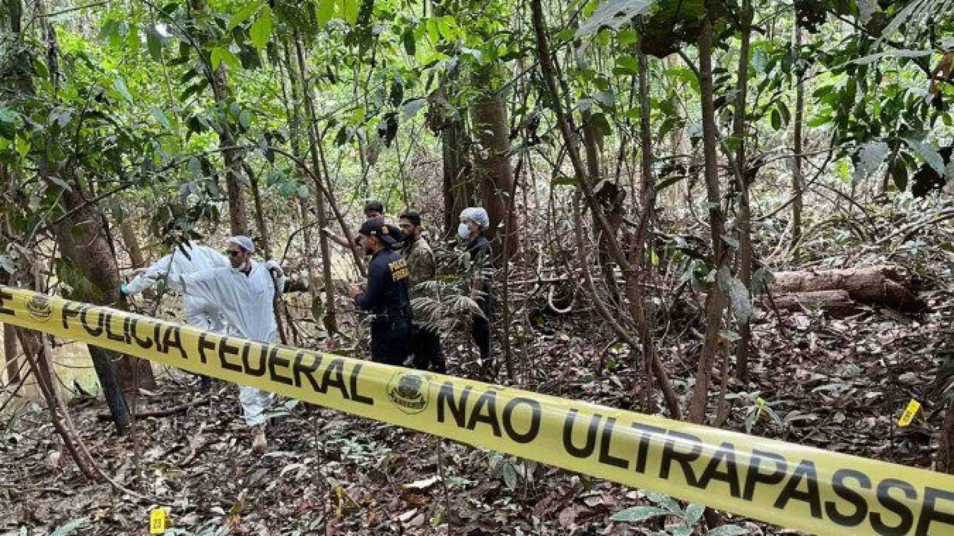 A principal mudança observada pelo estudo é a interconexão crescente entre os grupos criminosos e os crimes ambientais, em especial nas Terras Indígenas -  (crédito: Divulgação / Polícia Federal)