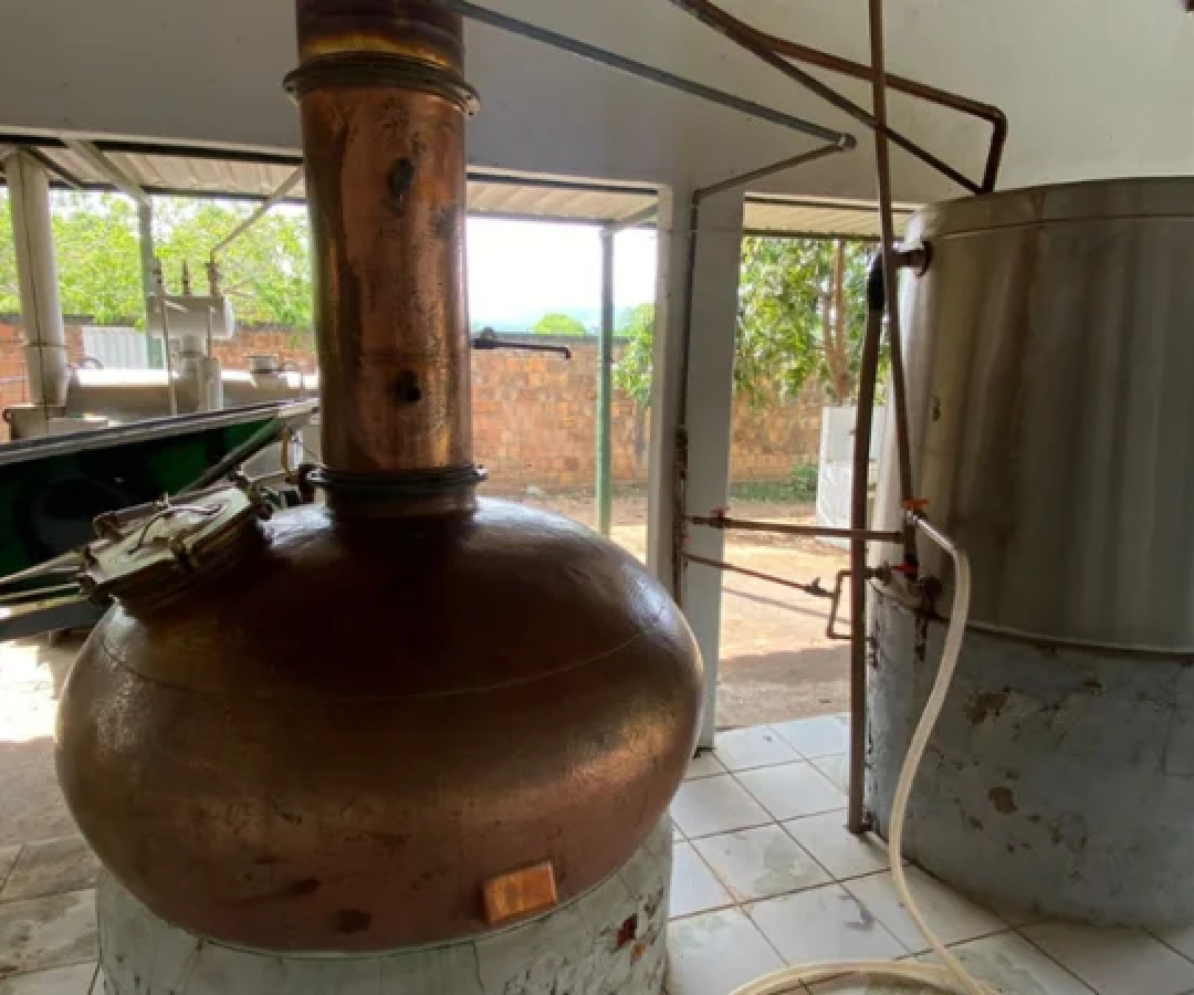 A ação no Tocantins foi realizada em conjunto com a Polícia Civil do Estado, além da Perícia Técnica e a Vigilância Sanitária tocantinense -  (crédito: Reprodução/Ministério da Agricultura e Pecuária)