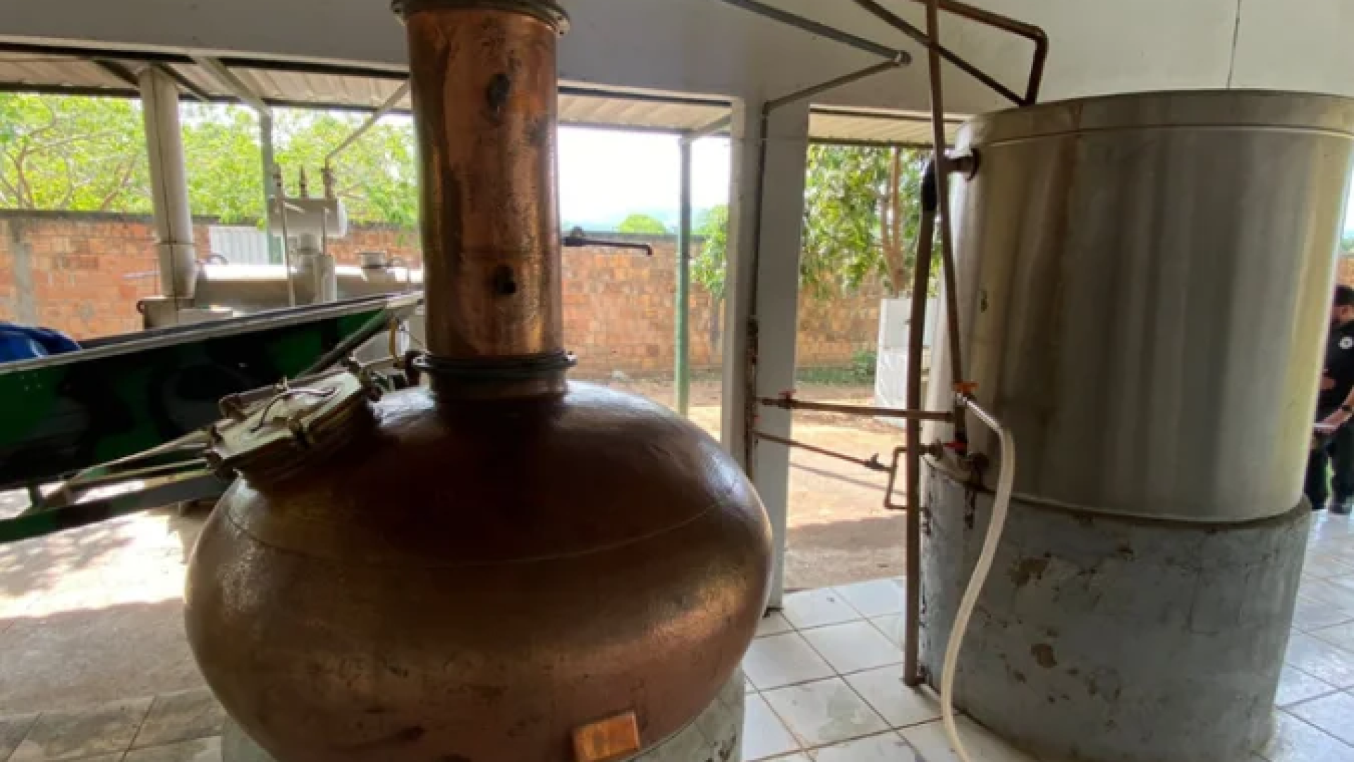 A ação no Tocantins foi realizada em conjunto com a Polícia Civil do Estado, além da Perícia Técnica e a Vigilância Sanitária tocantinense -  (crédito: Reprodução/Ministério da Agricultura e Pecuária)