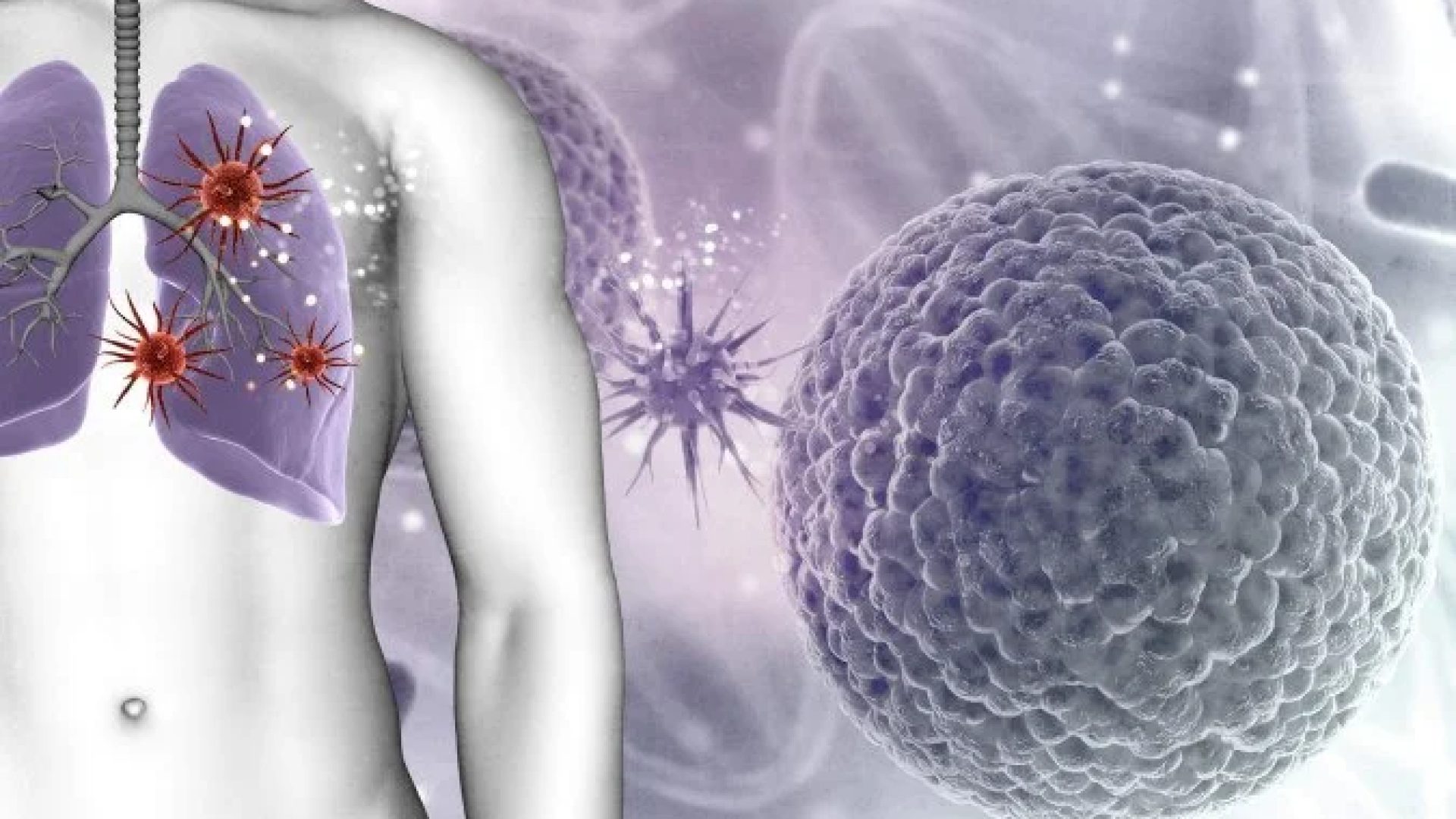 Fibrose cística     -  (crédito: Reprodução/Freepik)