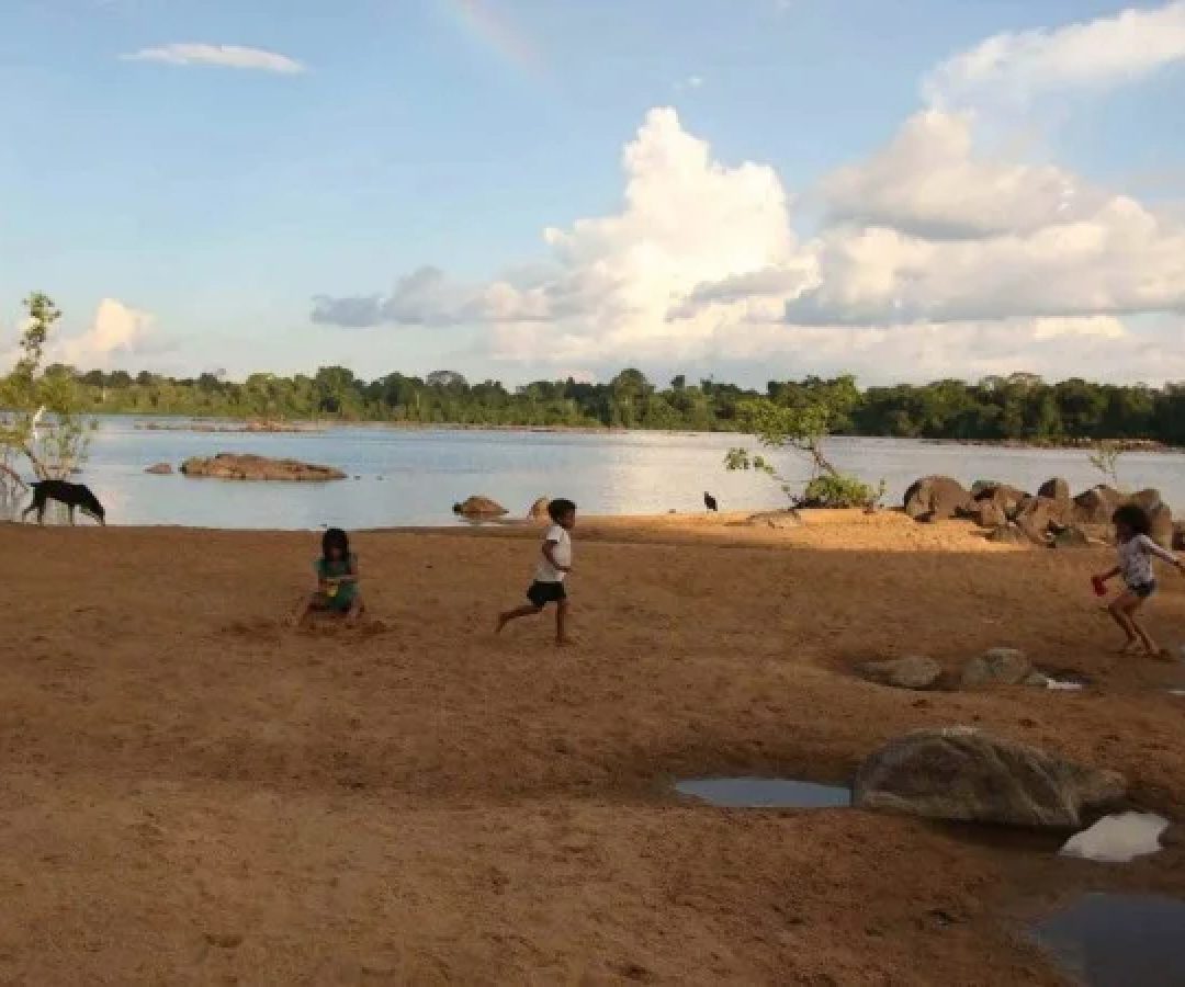 Terra do Meio, no Pará: a região é cada vez mais alarmada por mortes de ribeirinhos e indígenas -  (crédito:  Cristina Avila Esp.CB/DA Press.)