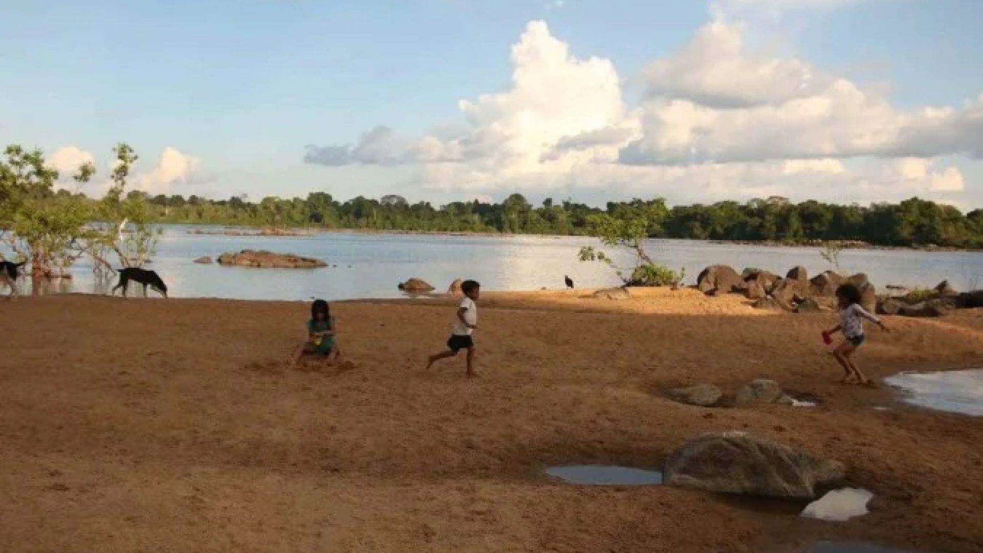 Terra do Meio, no Pará: a região é cada vez mais alarmada por mortes de ribeirinhos e indígenas -  (crédito:  Cristina Avila Esp.CB/DA Press.)