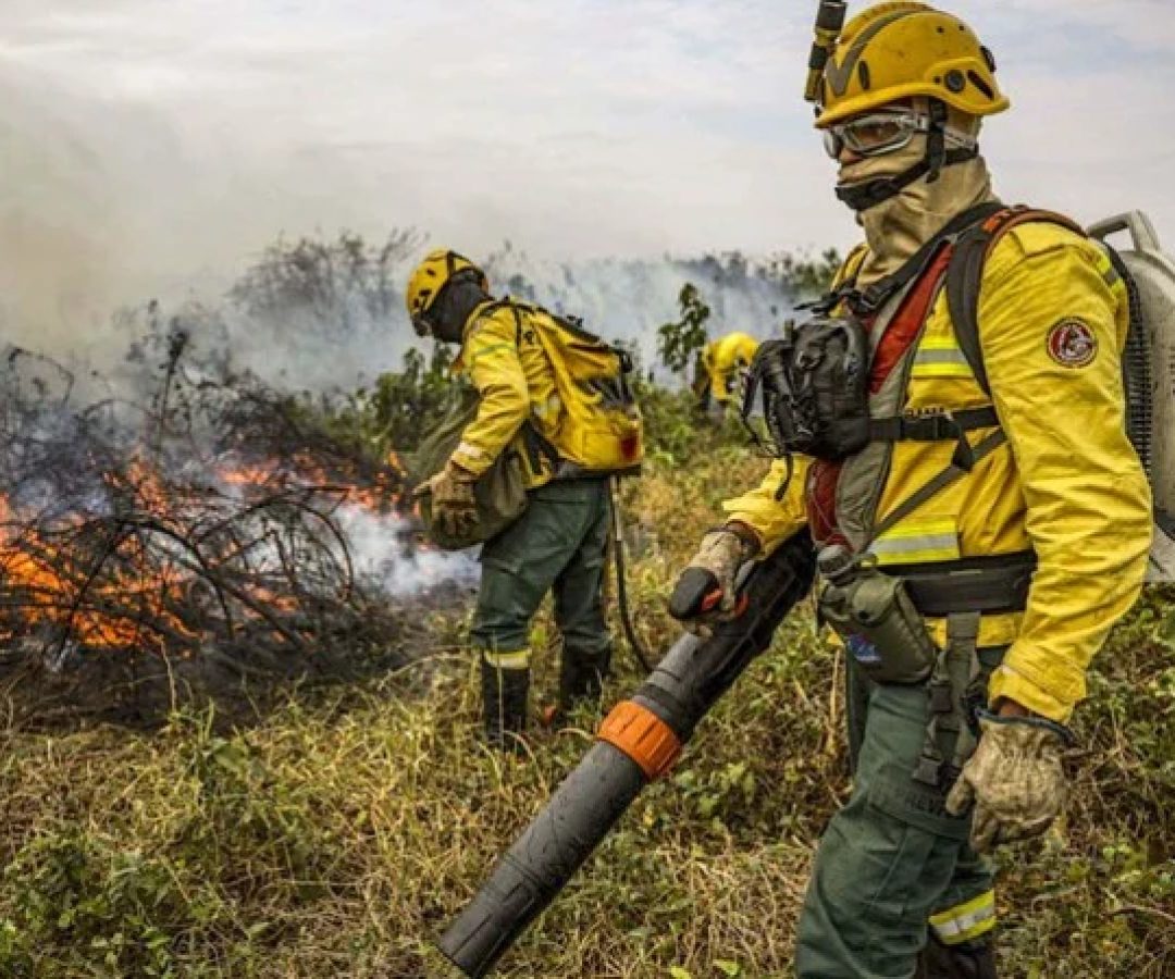 Política Nacional de Manejo Integrado do Fogo (PNMIF) é considerada o eixo central da pasta comandada por Marina Silva -  (crédito:  Marcelo Camargo/Agencia Brasil)