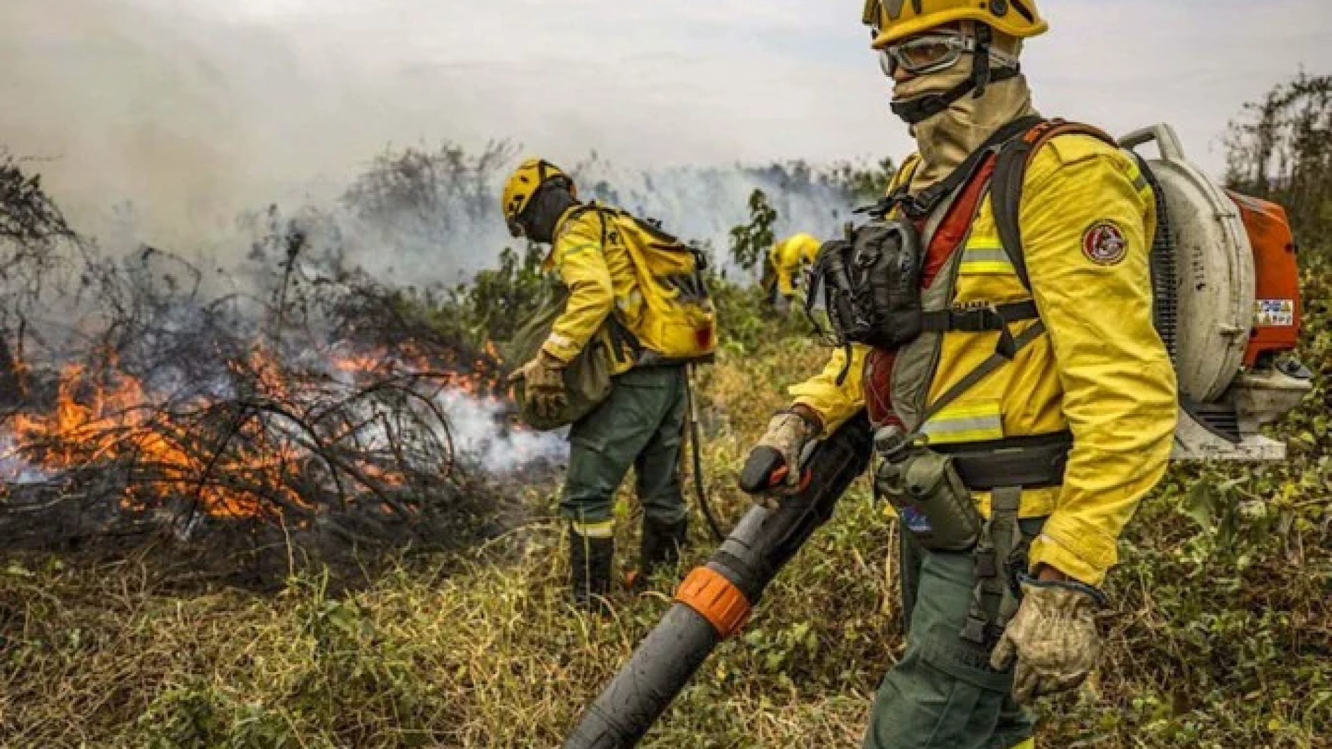 Política Nacional de Manejo Integrado do Fogo (PNMIF) é considerada o eixo central da pasta comandada por Marina Silva -  (crédito:  Marcelo Camargo/Agencia Brasil)