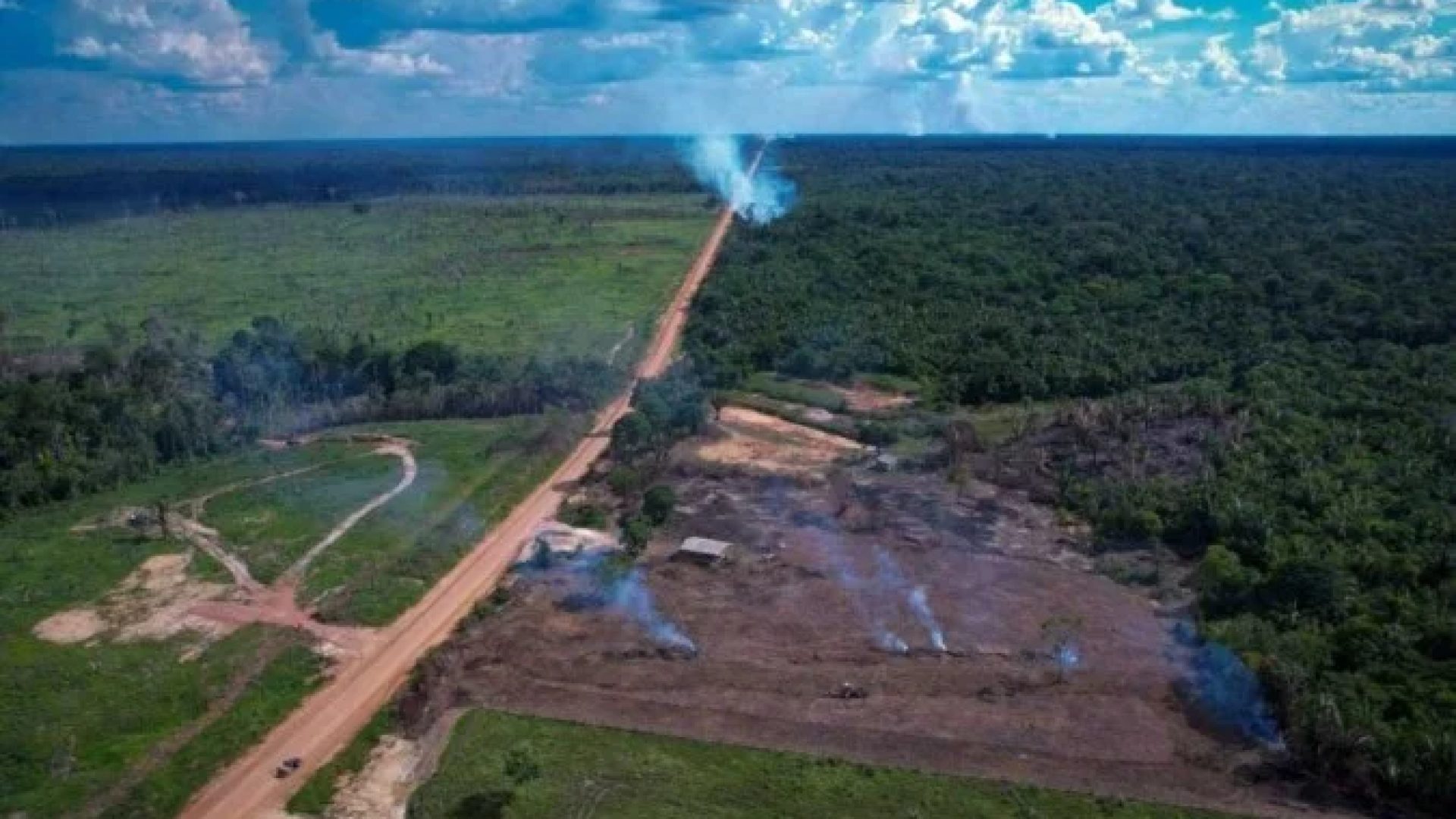 Desmatamento e outras intervenções na vida selvagem podem deflagrar zoonoses -  (crédito: Reprodução/INFO AMAZONIA)