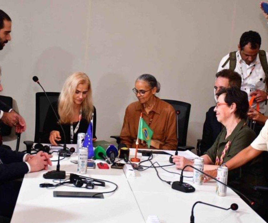 O Fundo Amazônia busca o alcance das metas climáticas brasileiras -  (crédito: Rúbio Marra / BNDES)