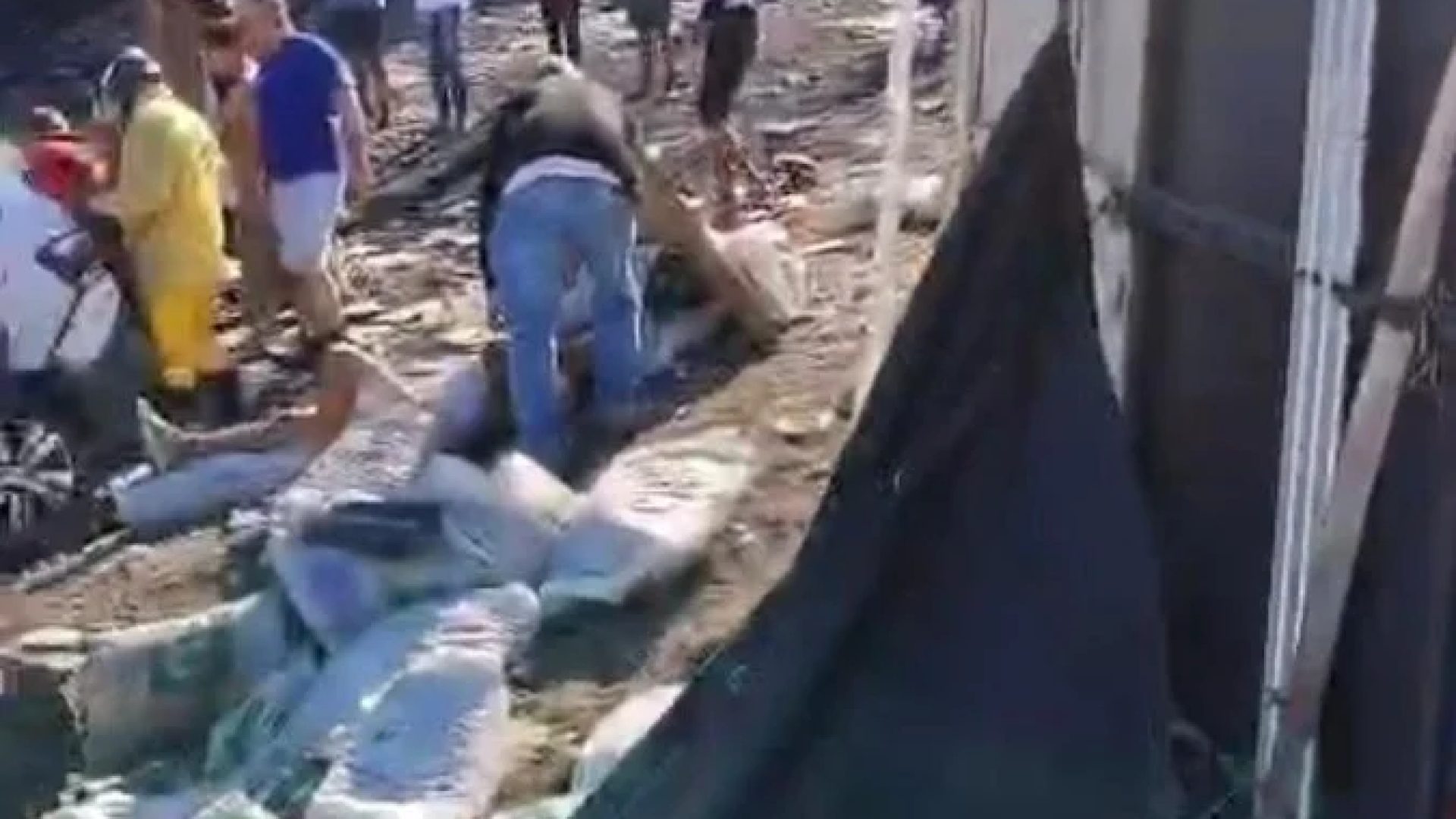 Carga de camnhão envolvido em acidente na BR 251 ficou jogada na pista -  (crédito: redes sociais/divulgaçao)