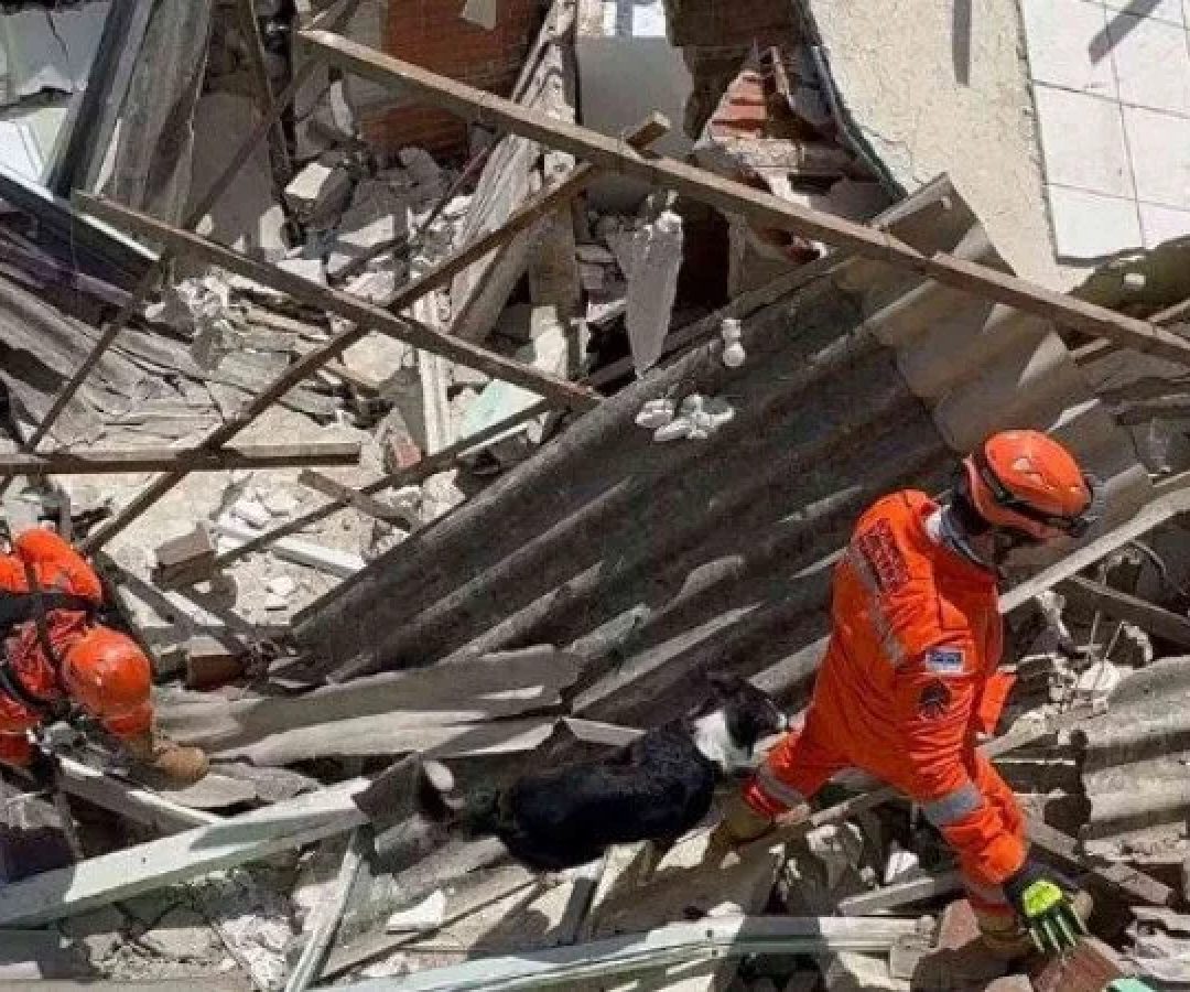 Bombeiros buscam vítimas entre os escombros: cenário de devastação -  (crédito: SDS/Divulgação)