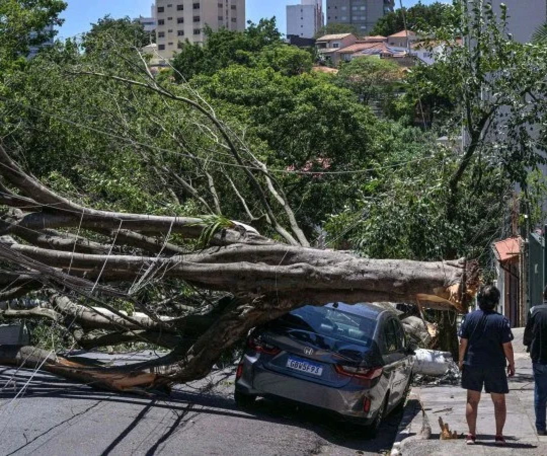 Os fortes ventos derrubaram postes e deixaram mais de 2,4 milhões de unidades sem energia, prejudicando o comércio e os serviços -  (crédito:  AFP)