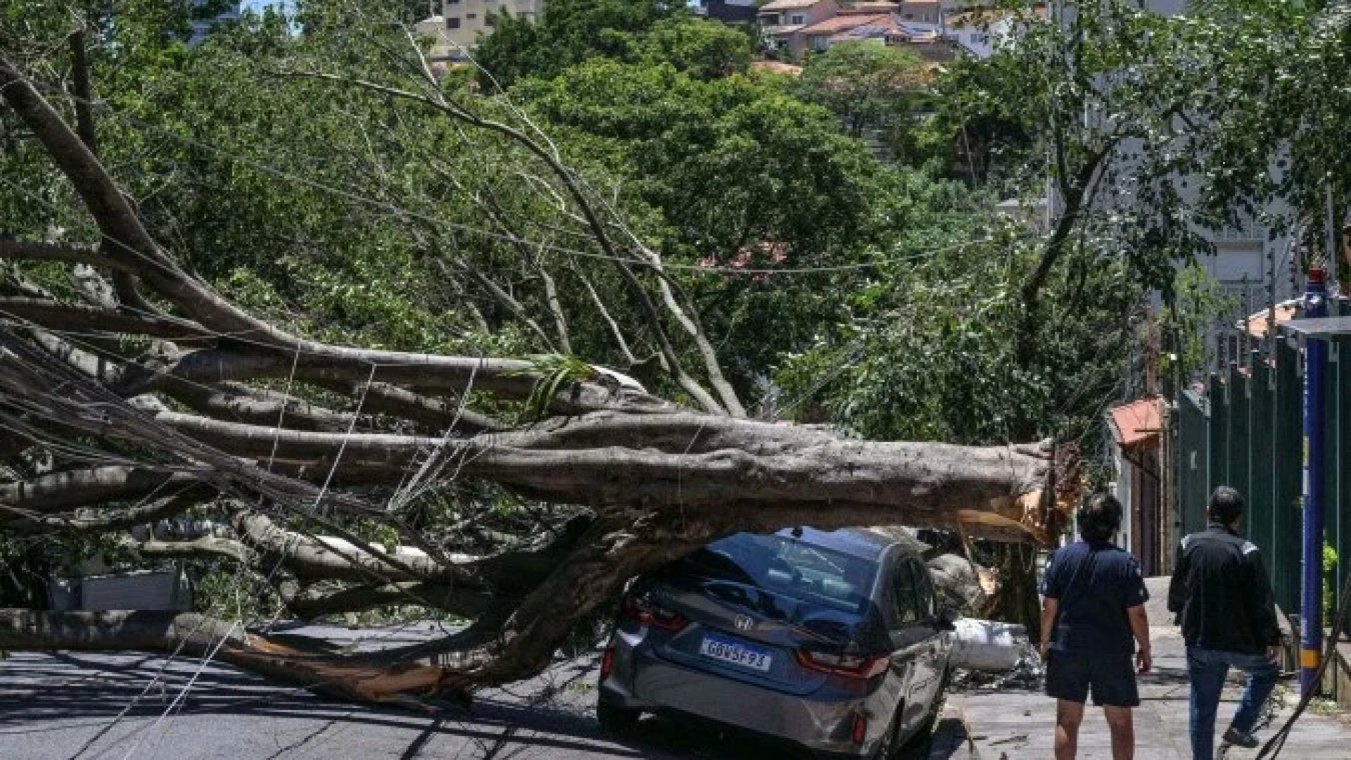Os fortes ventos derrubaram postes e deixaram mais de 2,4 milhões de unidades sem energia, prejudicando o comércio e os serviços -  (crédito:  AFP)