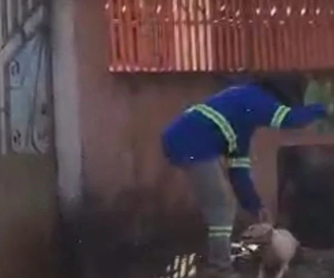 Homem é preso em flagrante após surrar cadela na rua; vídeo