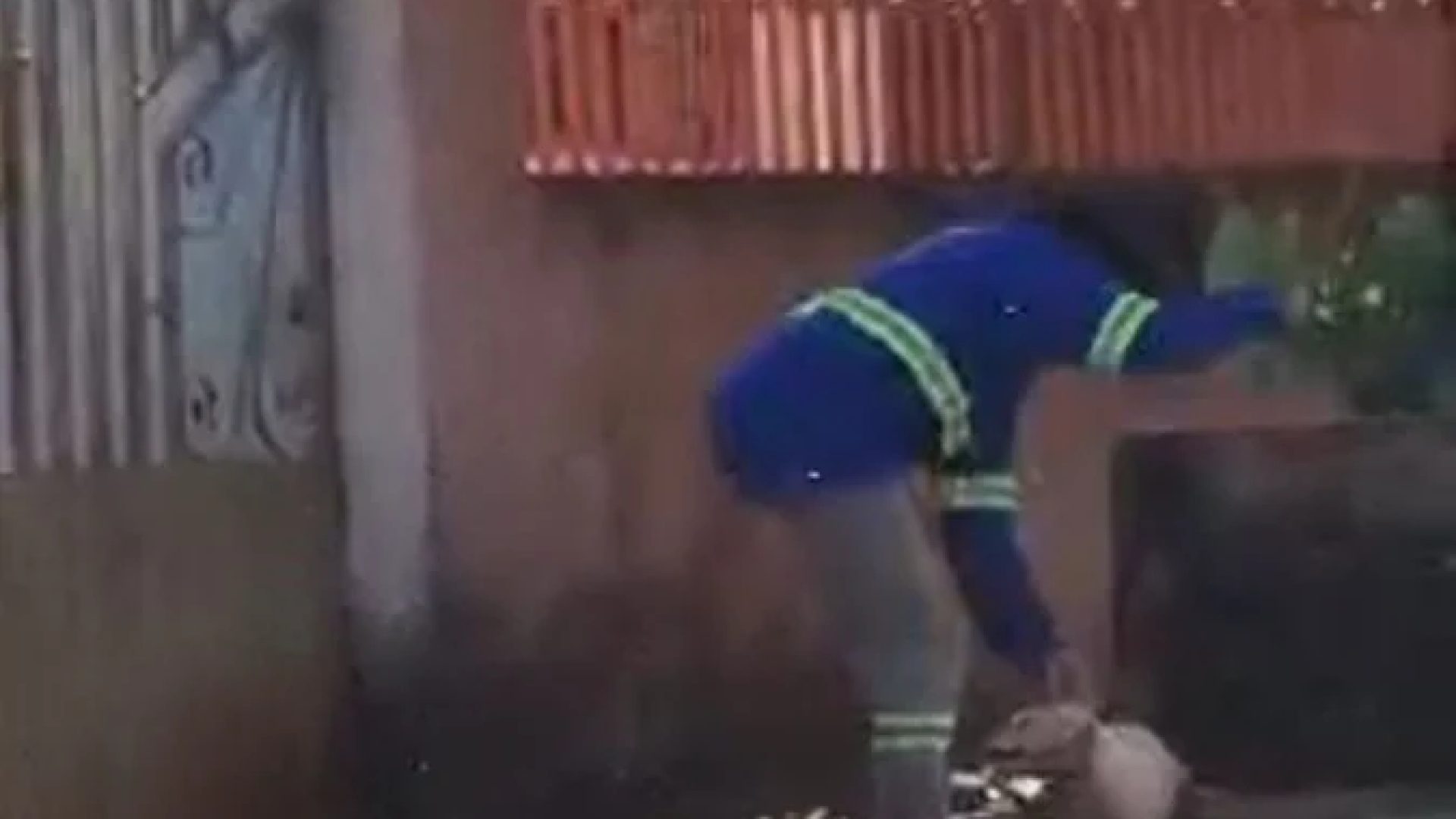 Homem é preso em flagrante após surrar cadela na rua; vídeo