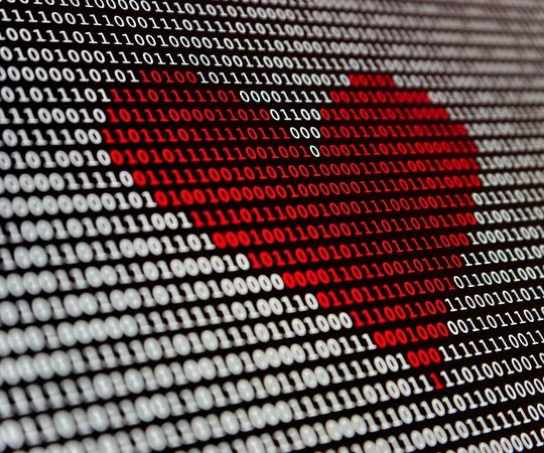 Levantamento foi feito por plataforma de relacionamento -  (crédito: Unsplash)