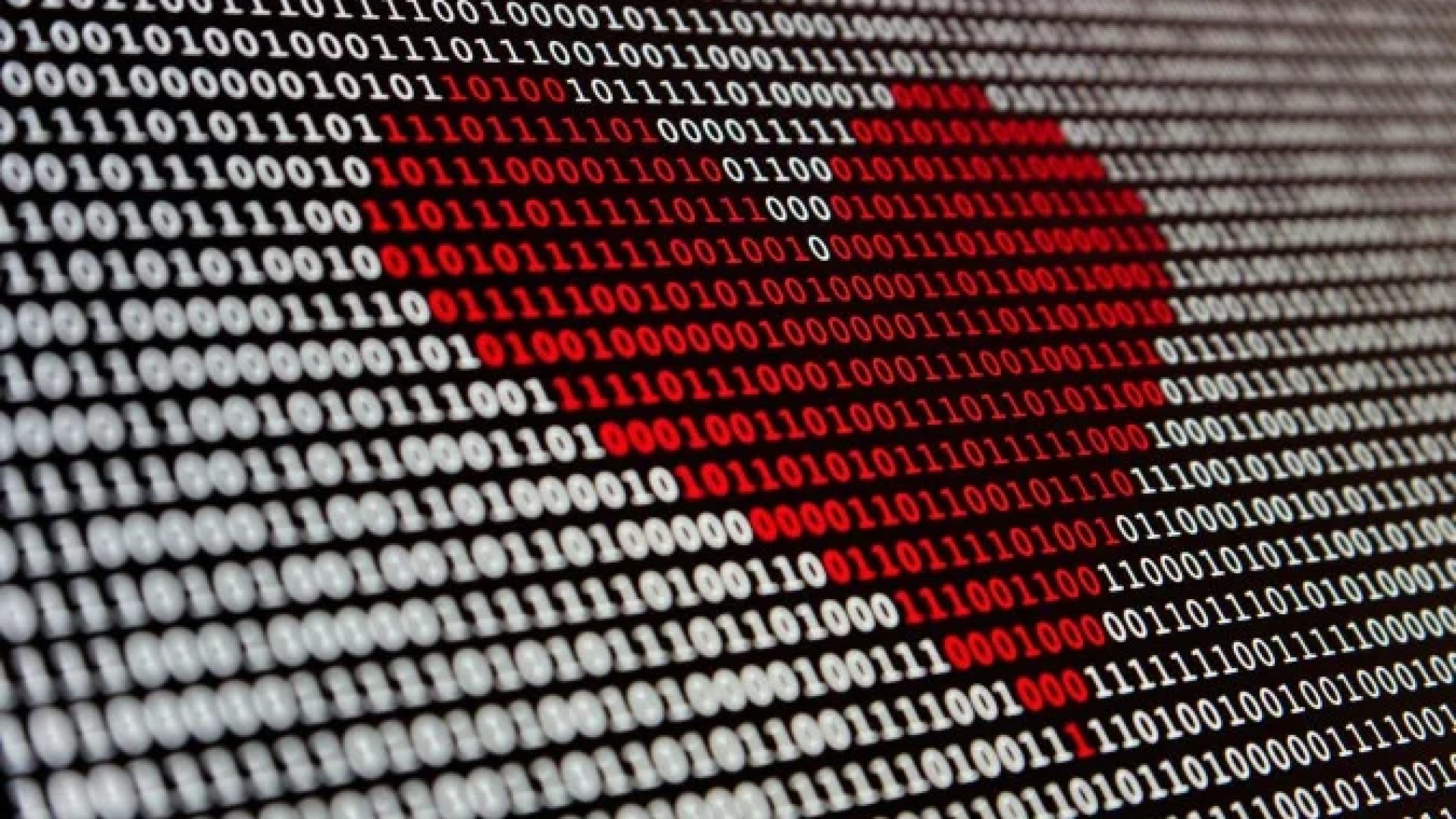 Levantamento foi feito por plataforma de relacionamento -  (crédito: Unsplash)